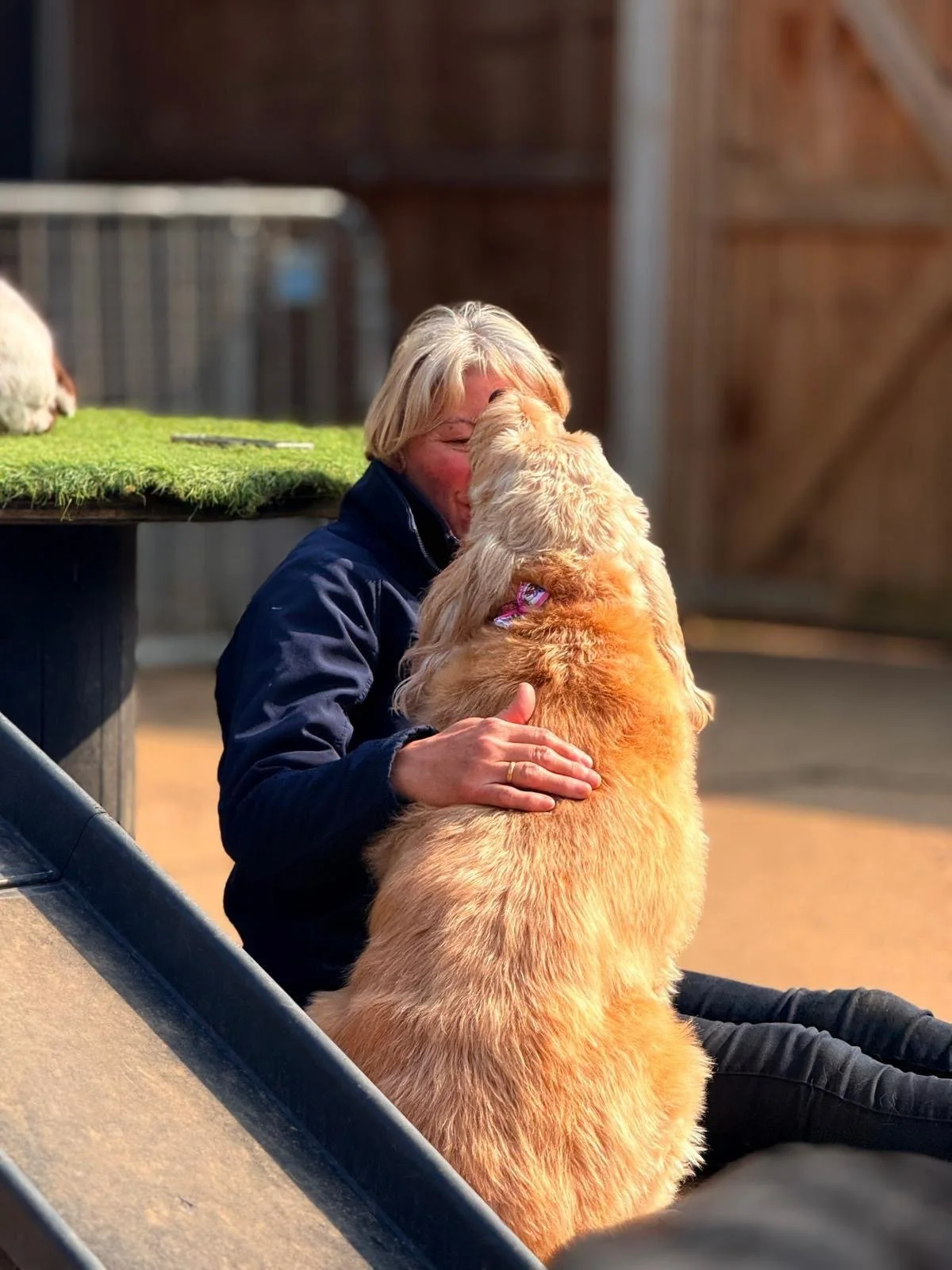 Piper's owner, Sarah, sitting with one of our dogs