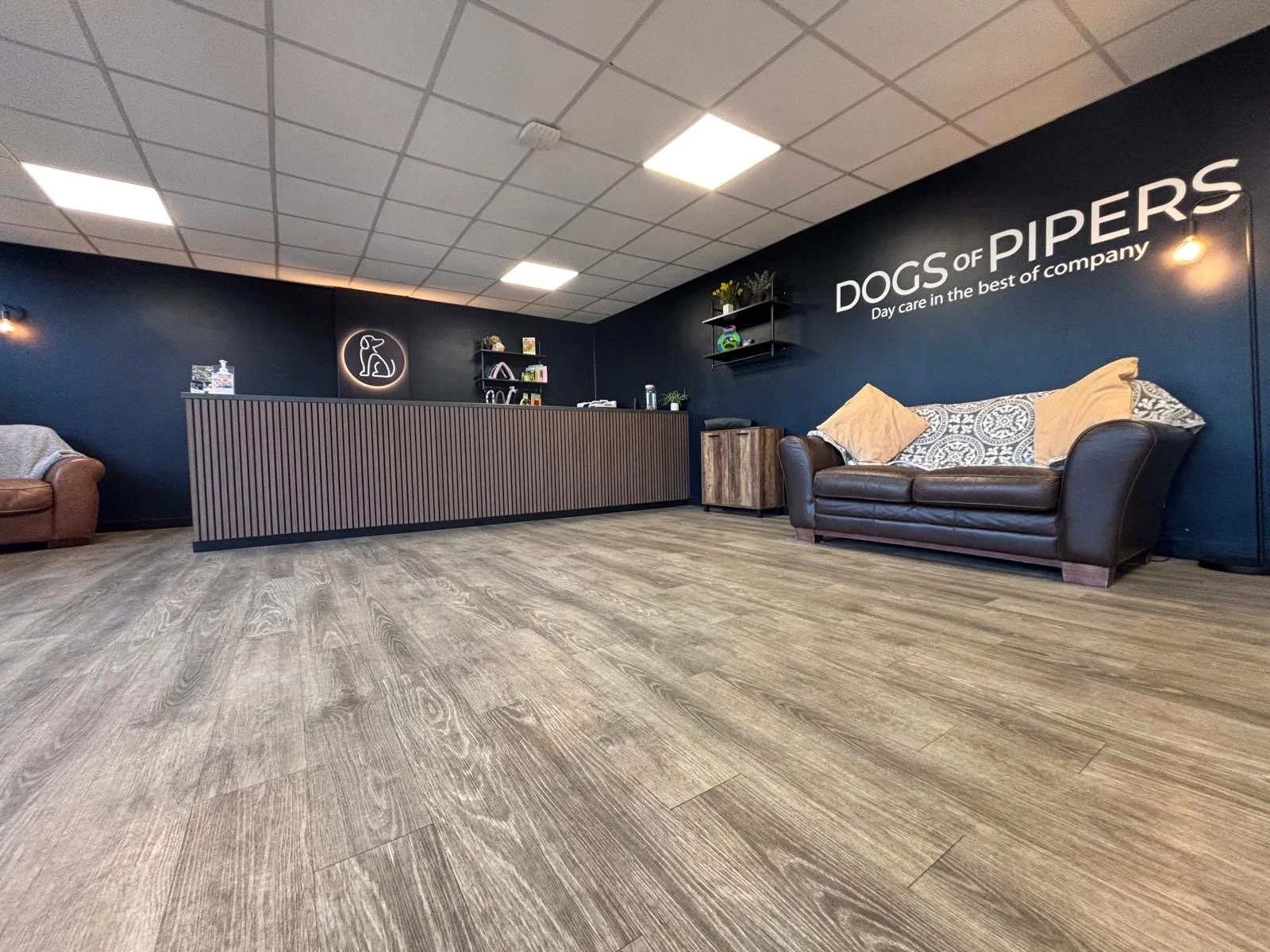 Interior of  'Dogs of Pipers' reception area