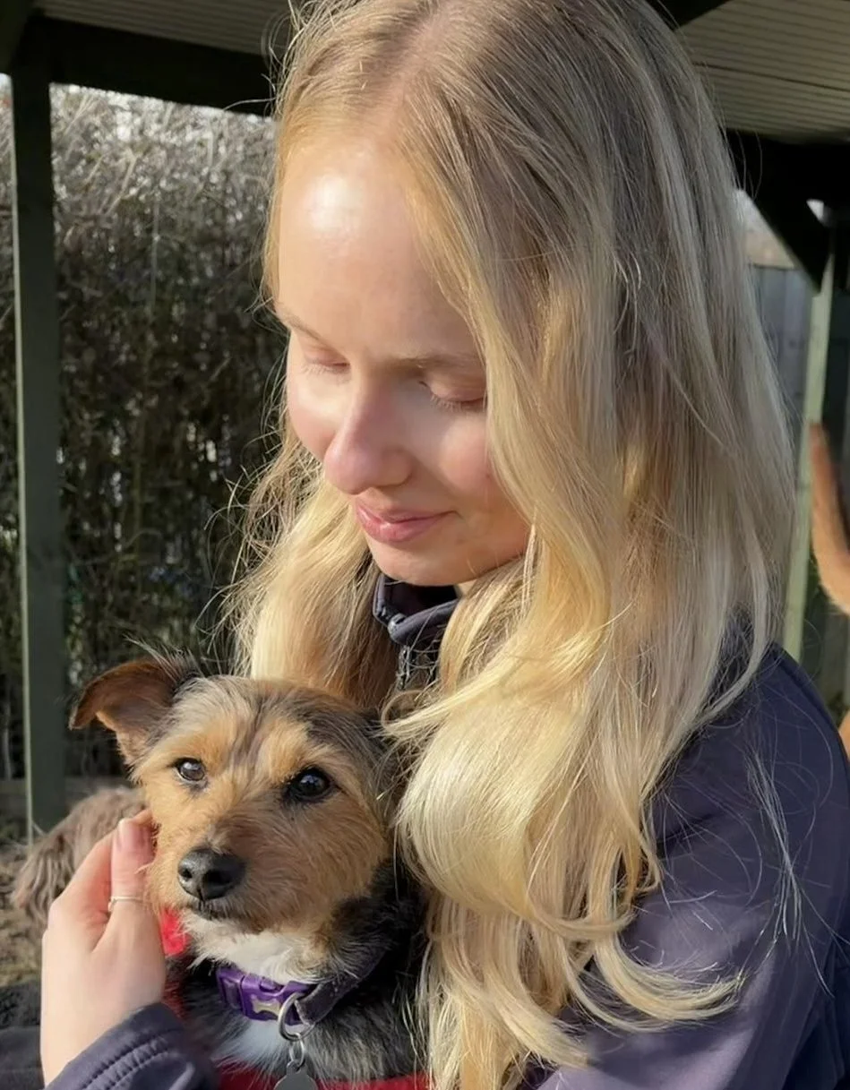 Dogs of Pipers logo in a beige circle