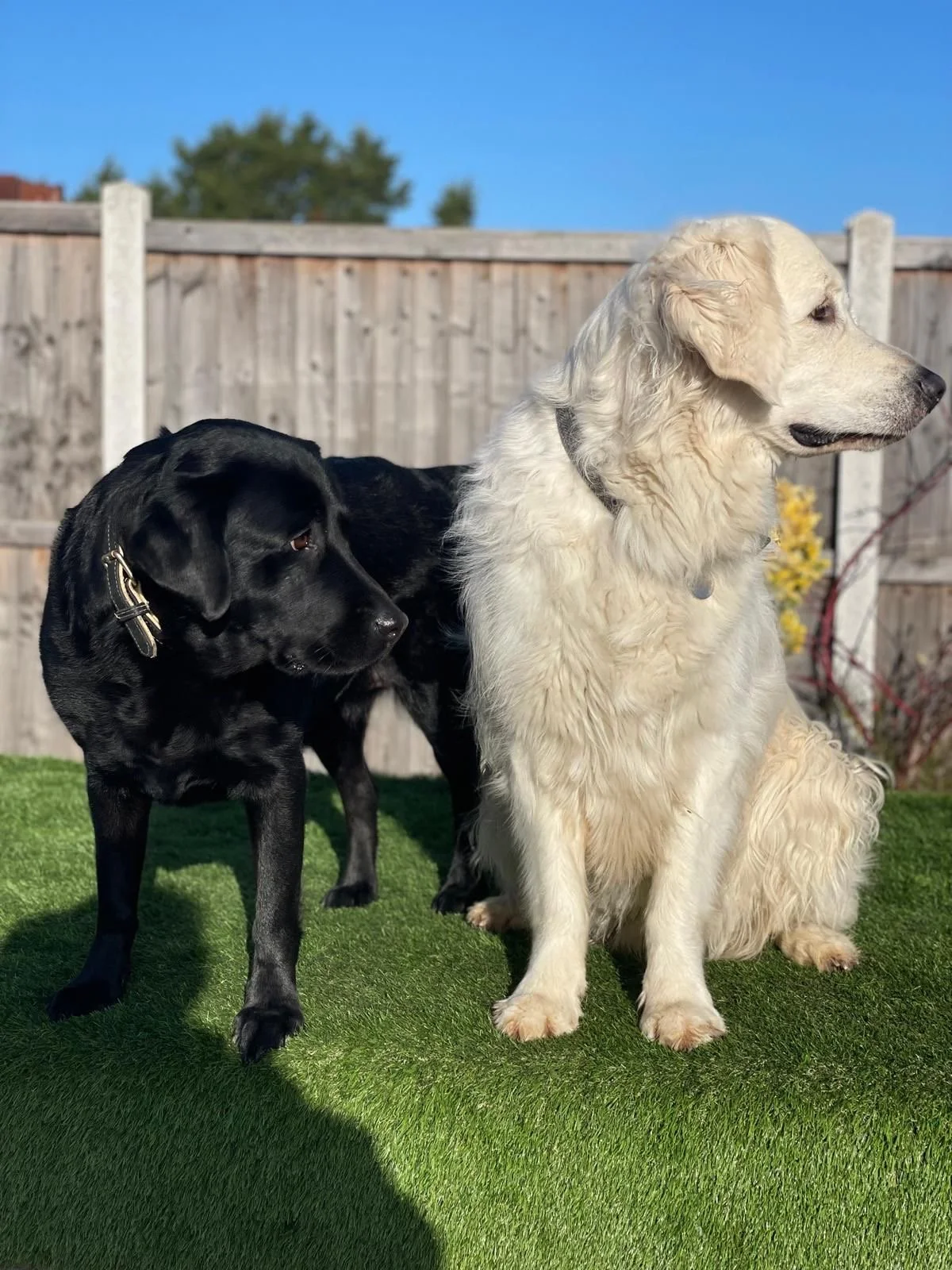 Sitting in the sunshine in Pipers outdoor space