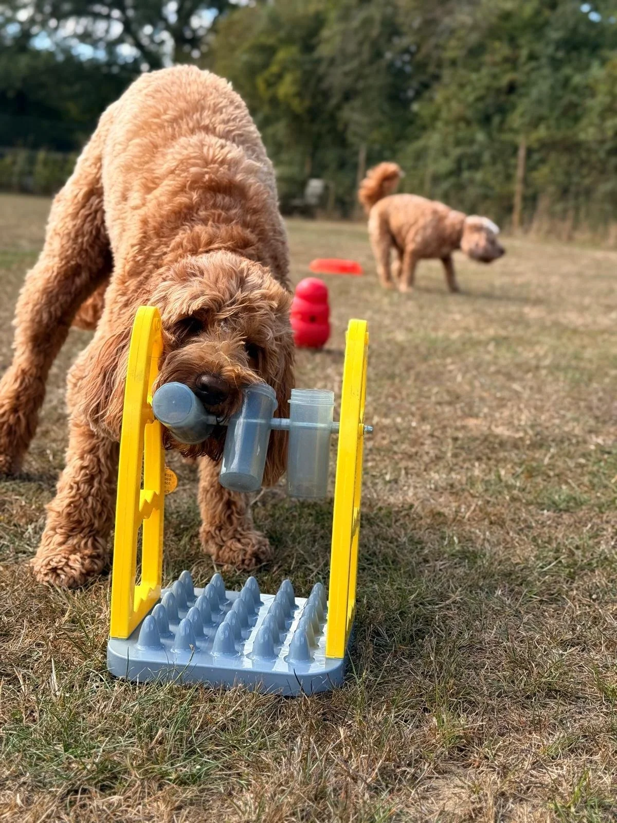 Outdoor playtime with all the toys!