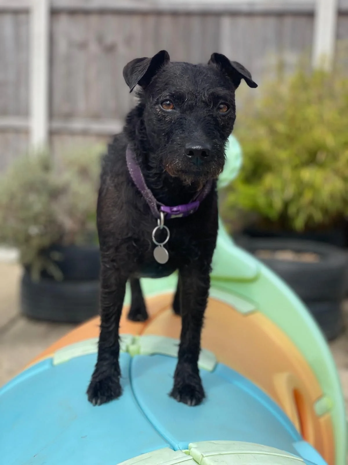 Posing for the camera in our outside area