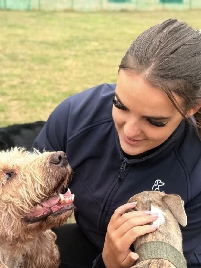 Dogs of Pipers logo in a beige circle