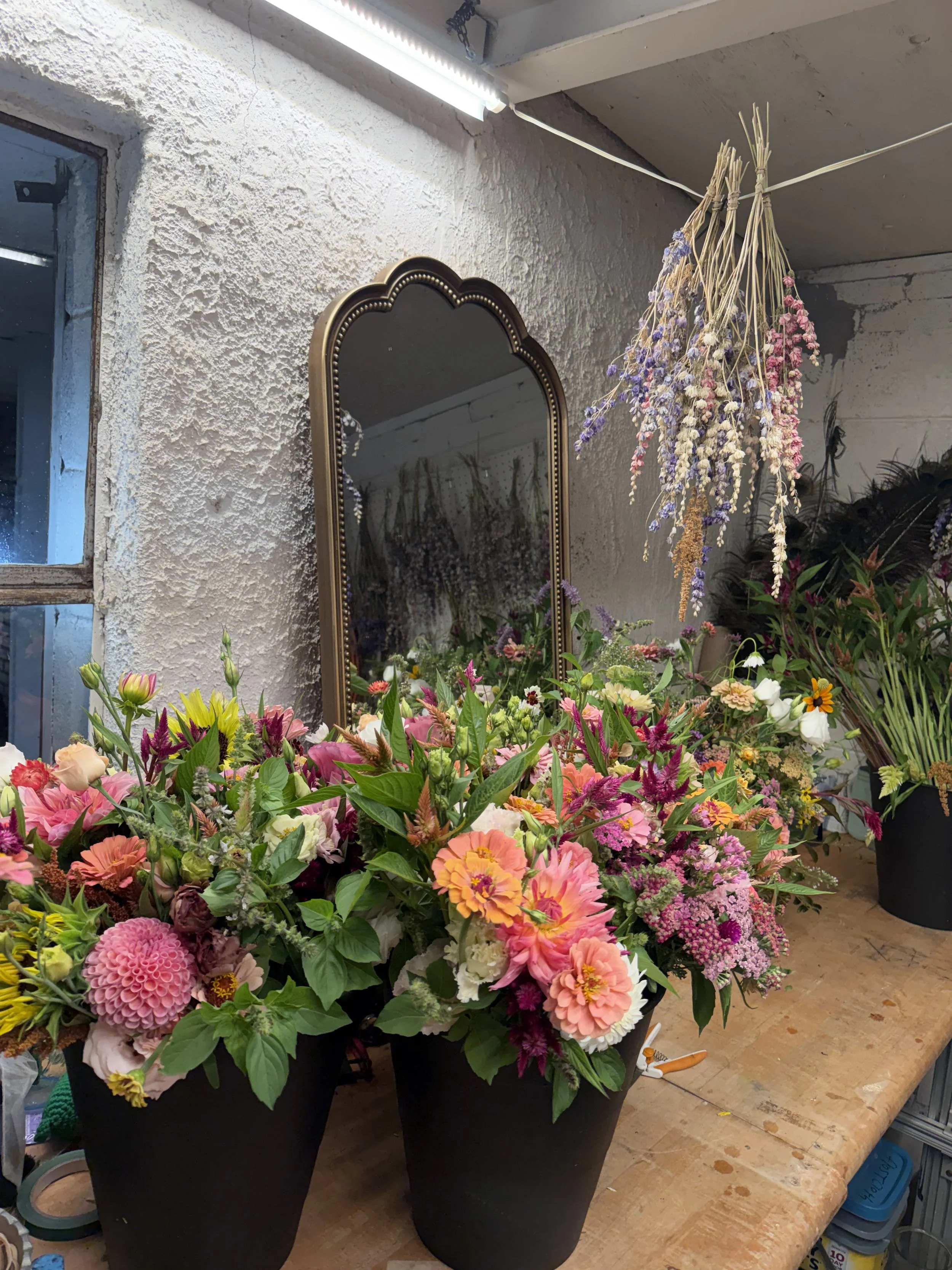 Growing More Than Flowers: A Season of Growth at A Rae Blooms
