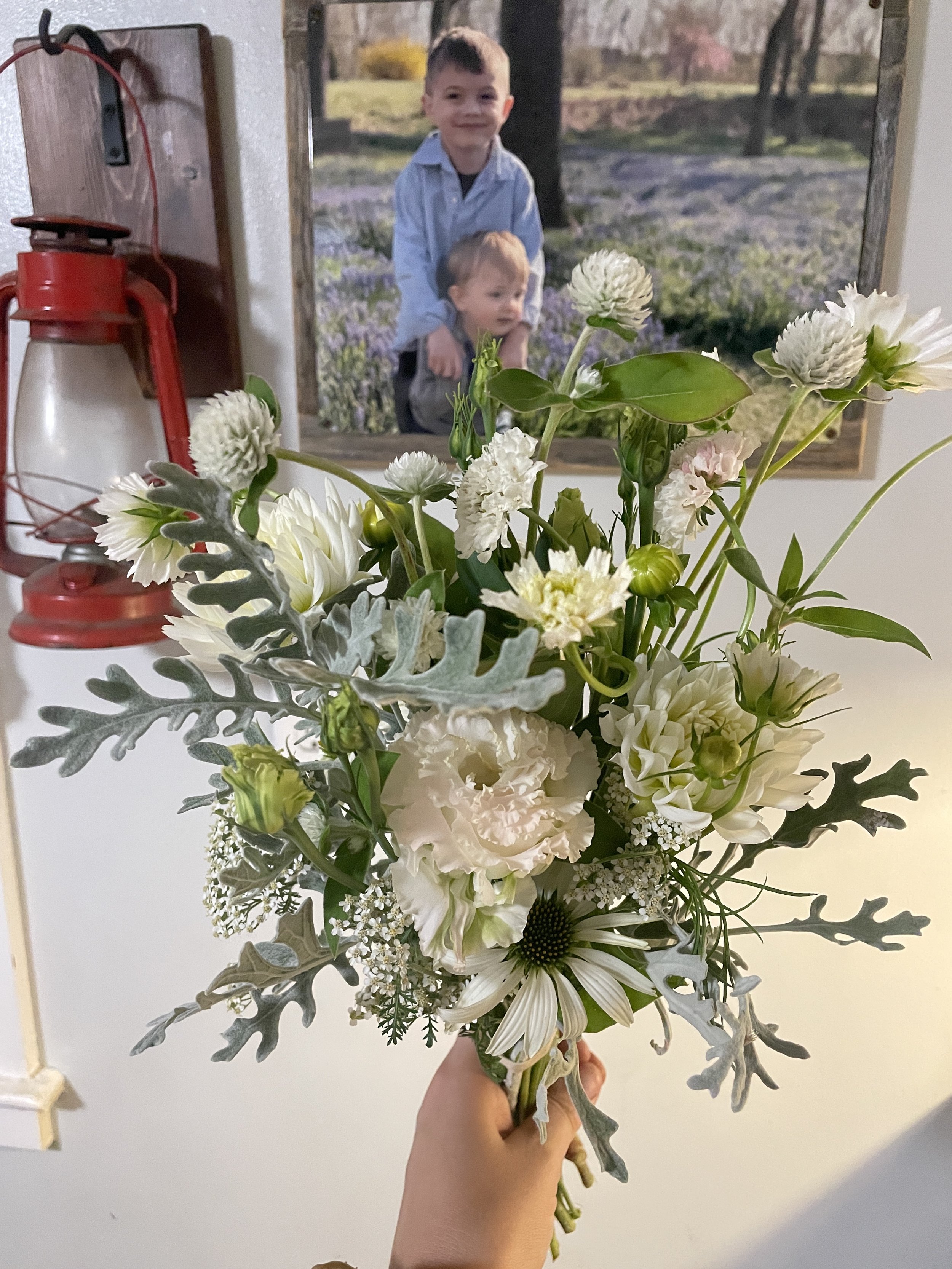 Bulk Bucket- Curated Color Palette