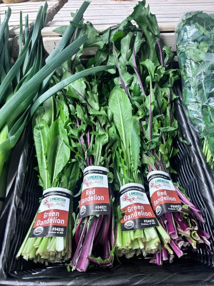Fresh, vibrant, and just in time for your Easter table 🌿

Stoltzfus Family Farms is bringing in beautiful green and red dandelion for just $3 a bunch &mdash; the perfect fresh, seasonal addition to your holiday spread.

Simple, local, and full of fl
