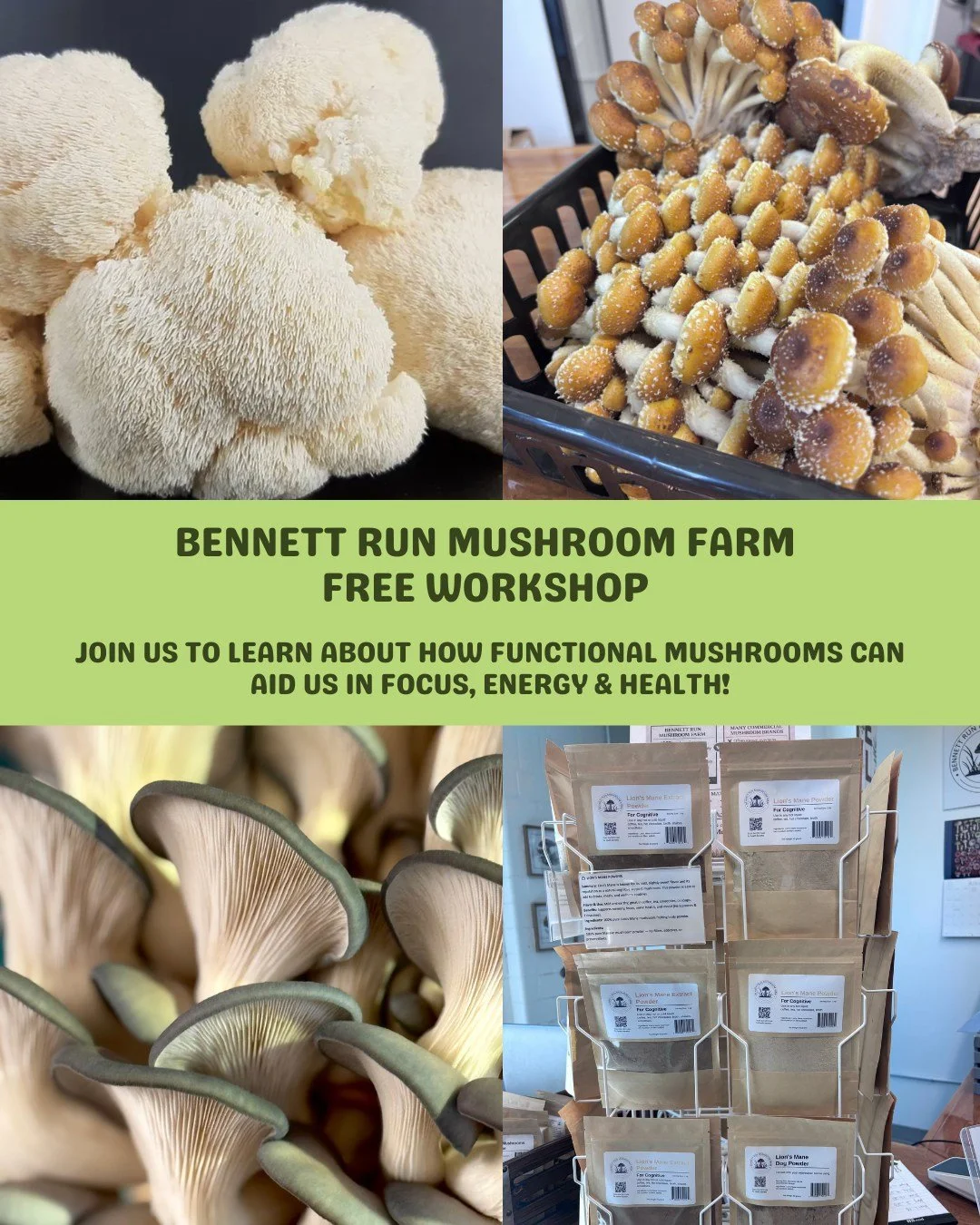🍄 FREE WORKSHOP with Bennett Run Mushroom Farm: Mushrooms for Focus, Energy &amp; Health 

Most people are taking mushroom products...but not understanding the amazing benefits they can provide!

Join us at Hershey Fresh Market on the lower level on