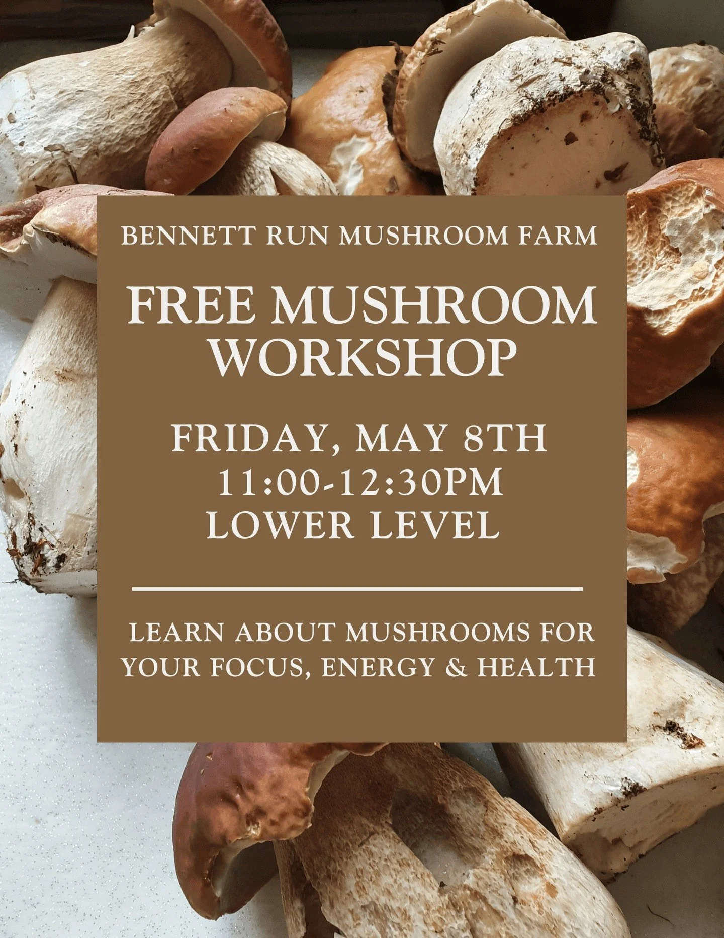 Don&rsquo;t miss this Friday 🍄

Join us on the lower level for a FREE Mushroom Workshop with Bennett Run Mushroom Farm and learn how to use mushrooms to support your focus, energy, and overall health.

🗓 Friday, May 8
⏰ 11:00 AM &ndash; 12:30 PM
📍