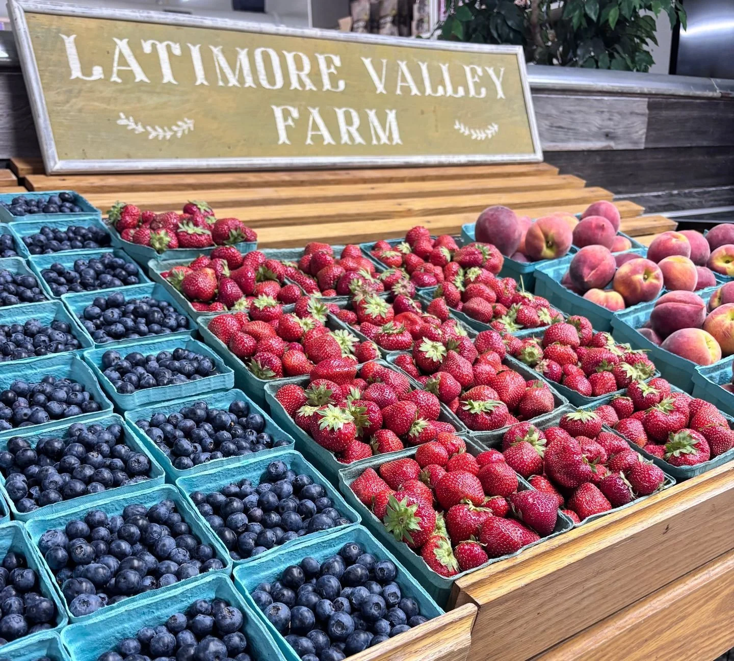 Memorial Day weekend is looking sweet 🍓🫐🇺🇸 
 
Stop by Latimore Valley Farm and stock up on fresh strawberries, blueberries and summer produce perfect for cookouts, desserts and holiday gatherings. 
 
Nothing says summer kickoff like fresh local f