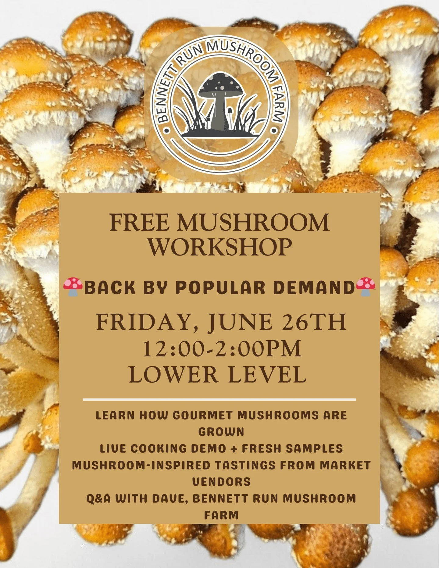Back by popular demand! Join us for our second FREE Mushroom Workshop on Friday, June 26, from 12:00pm - 2:00pm with Dave from Bennett Run Mushroom Farm at the Hershey Fresh Market.

After such a great response to our first workshop, Dave is returnin