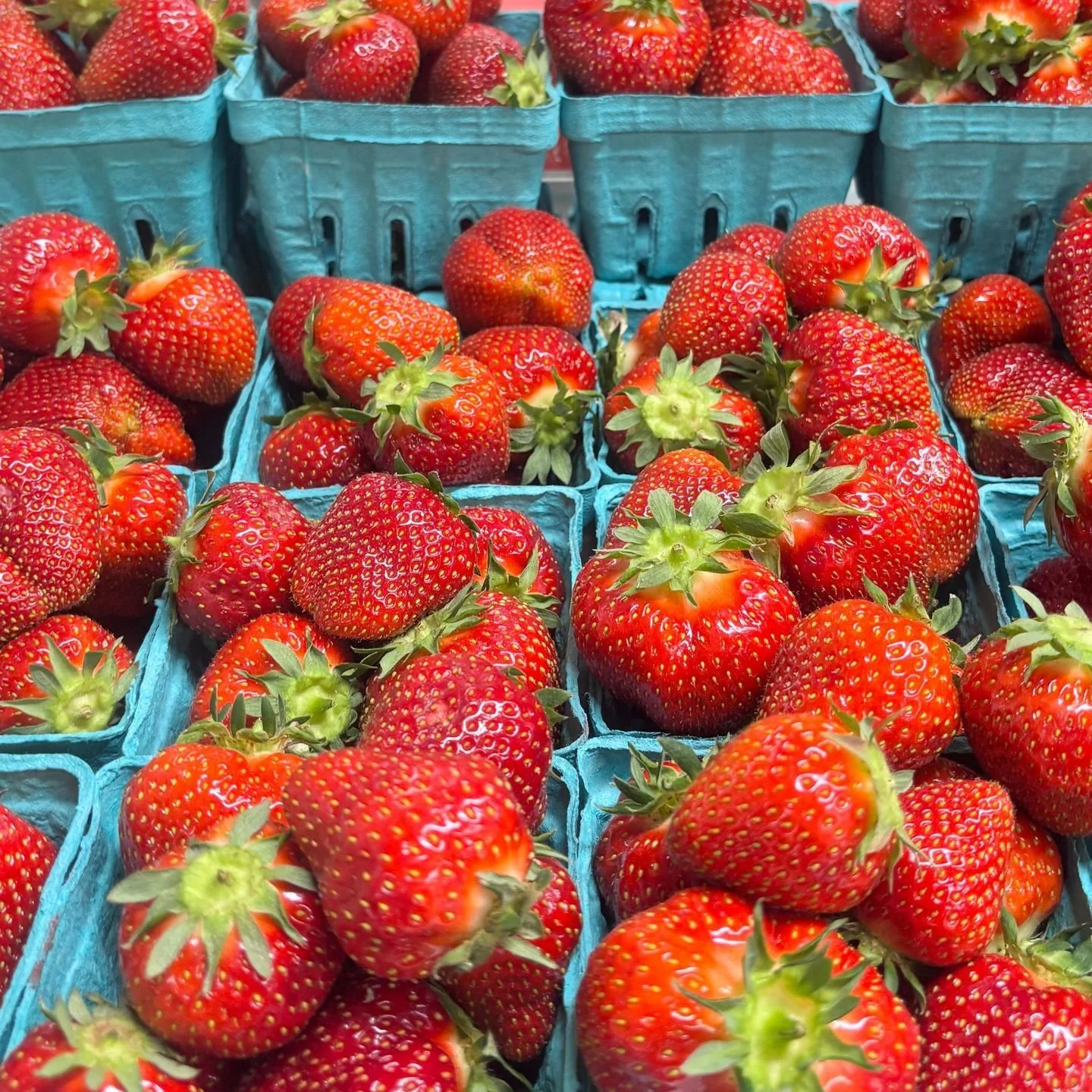 🍓 Strawberry season has officially arrived! 🍓

There&rsquo;s nothing quite like the taste of fresh, locally grown strawberries picked at the peak of the season.

Stop by Stoltzfus Family Produce and stock up on sweet, juicy strawberries perfect for