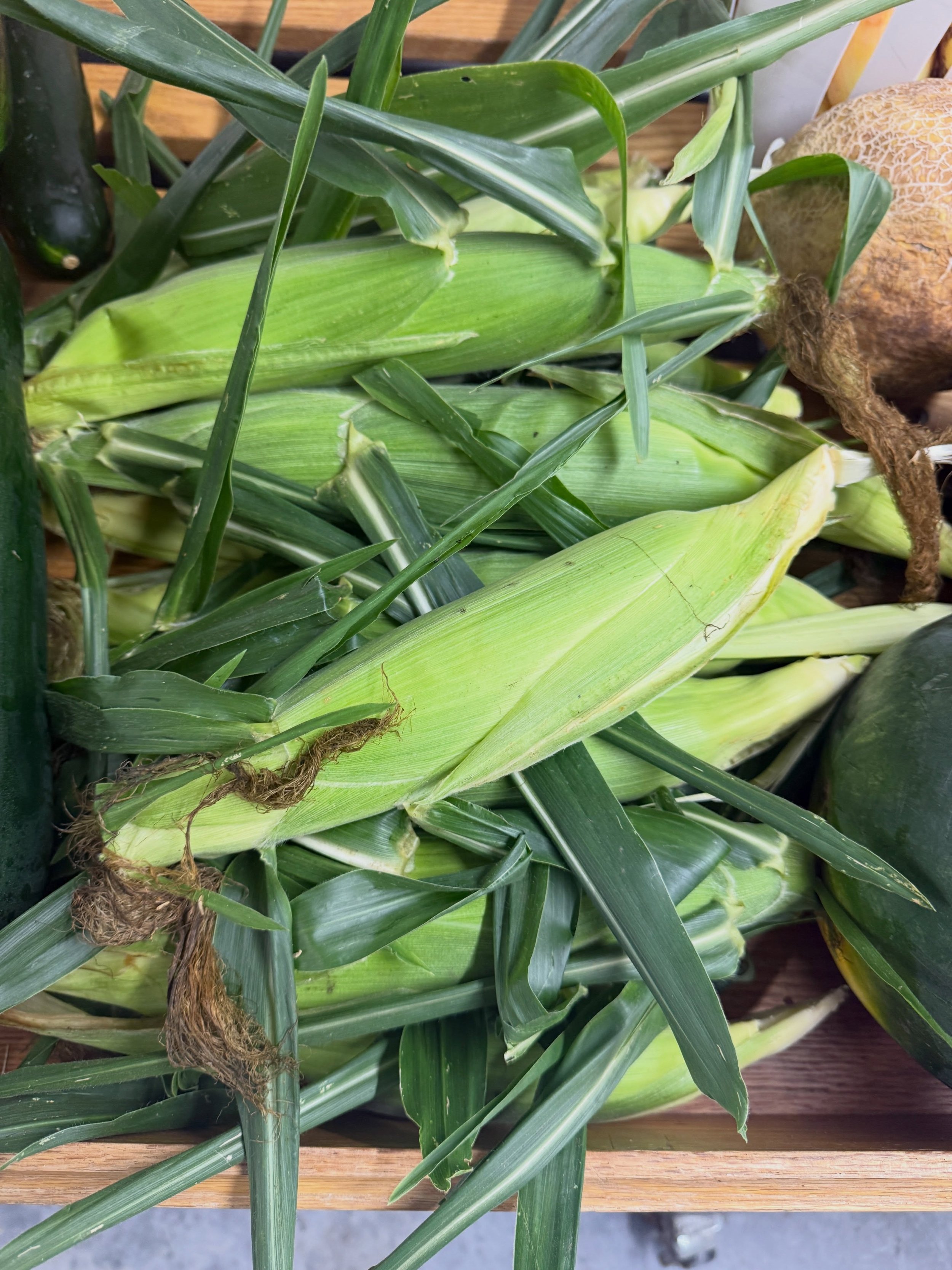 It&rsquo;s National Farmers Market Week! Come celebrate with us 🥳
@latimorevalleyfarmsinc is bringing you fresh, certified organic bi-color sweet corn, picked and ready for your table.
🌽 $6/dozen
🌽 $5/dozen when you buy 5 or more
Stock up, support