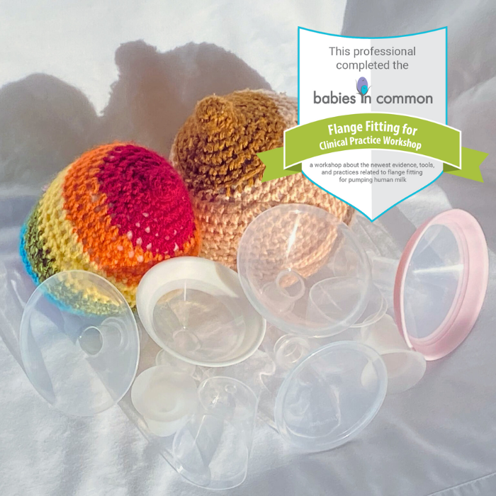A pair of crocheted breasts, one rainbow, one pale pink and brown surrounded by several breast pump flange accessories on a surface, with a Babies in Common training shield in the background about flange fitting for clinical practice.