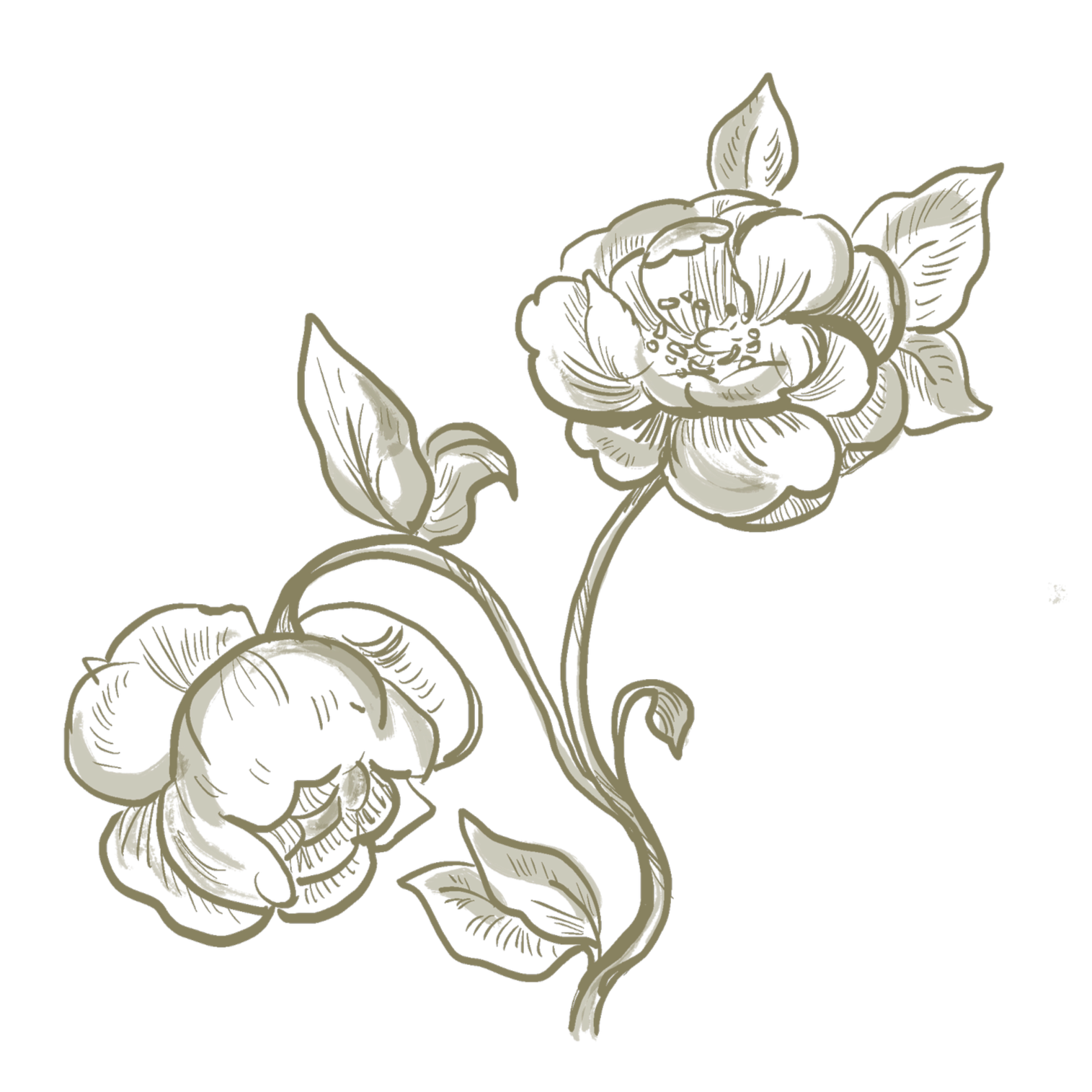 Stylized illustration of two large flowers with detailed petals and leaves, in a beige color.