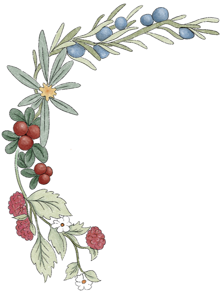 Floral border featuring blue berries, red berries, white flowers, and green leaves.