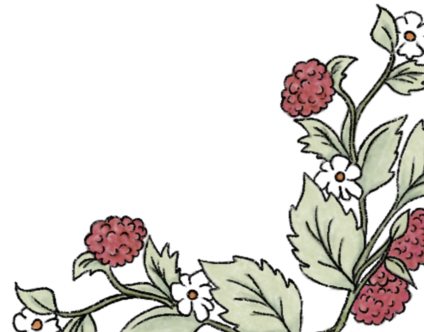 Decorative floral border with green leaves, white flowers, and red berries.