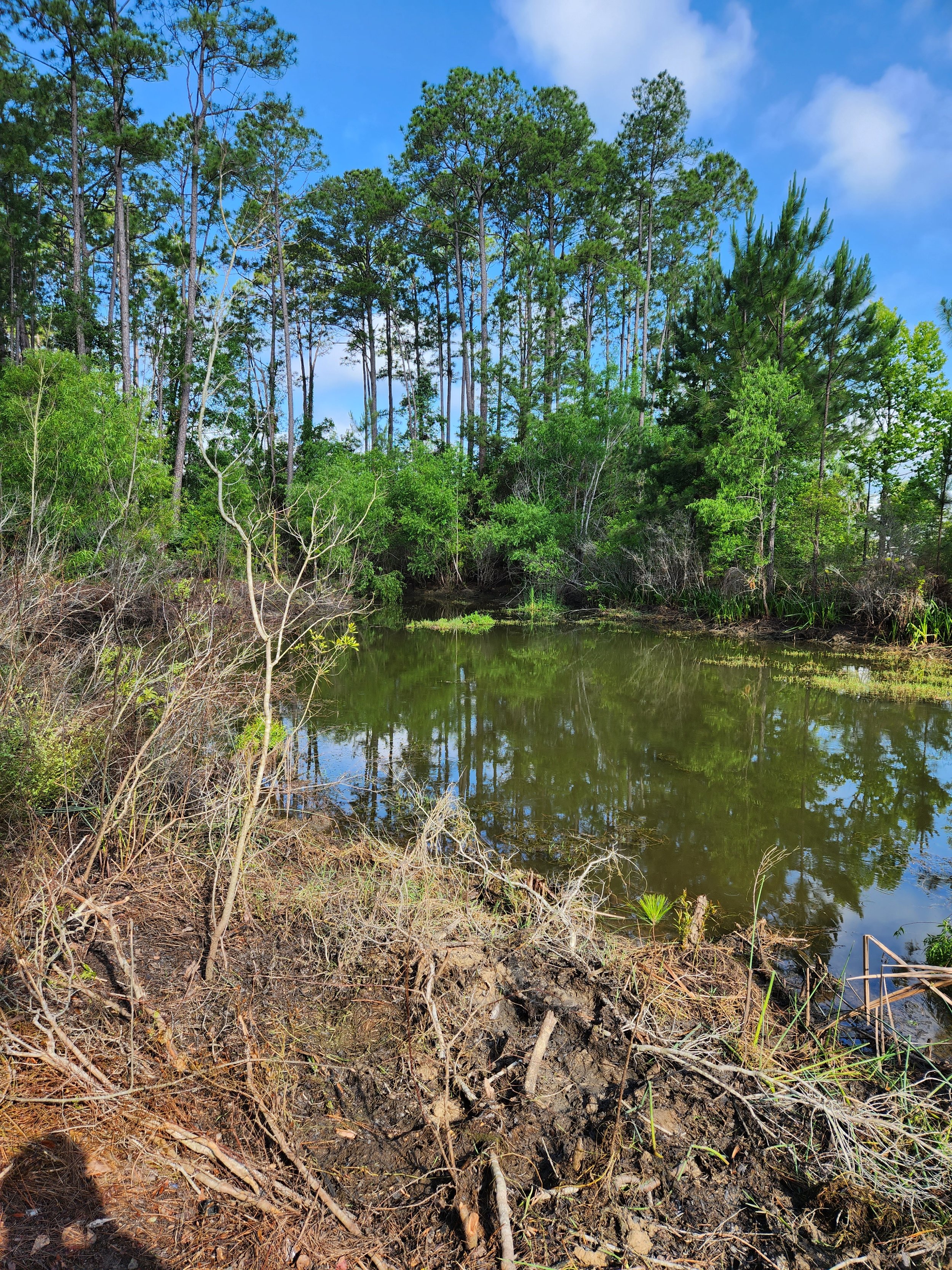 A small pond surrounded by green trees and bushes under a partly cloudy sky.