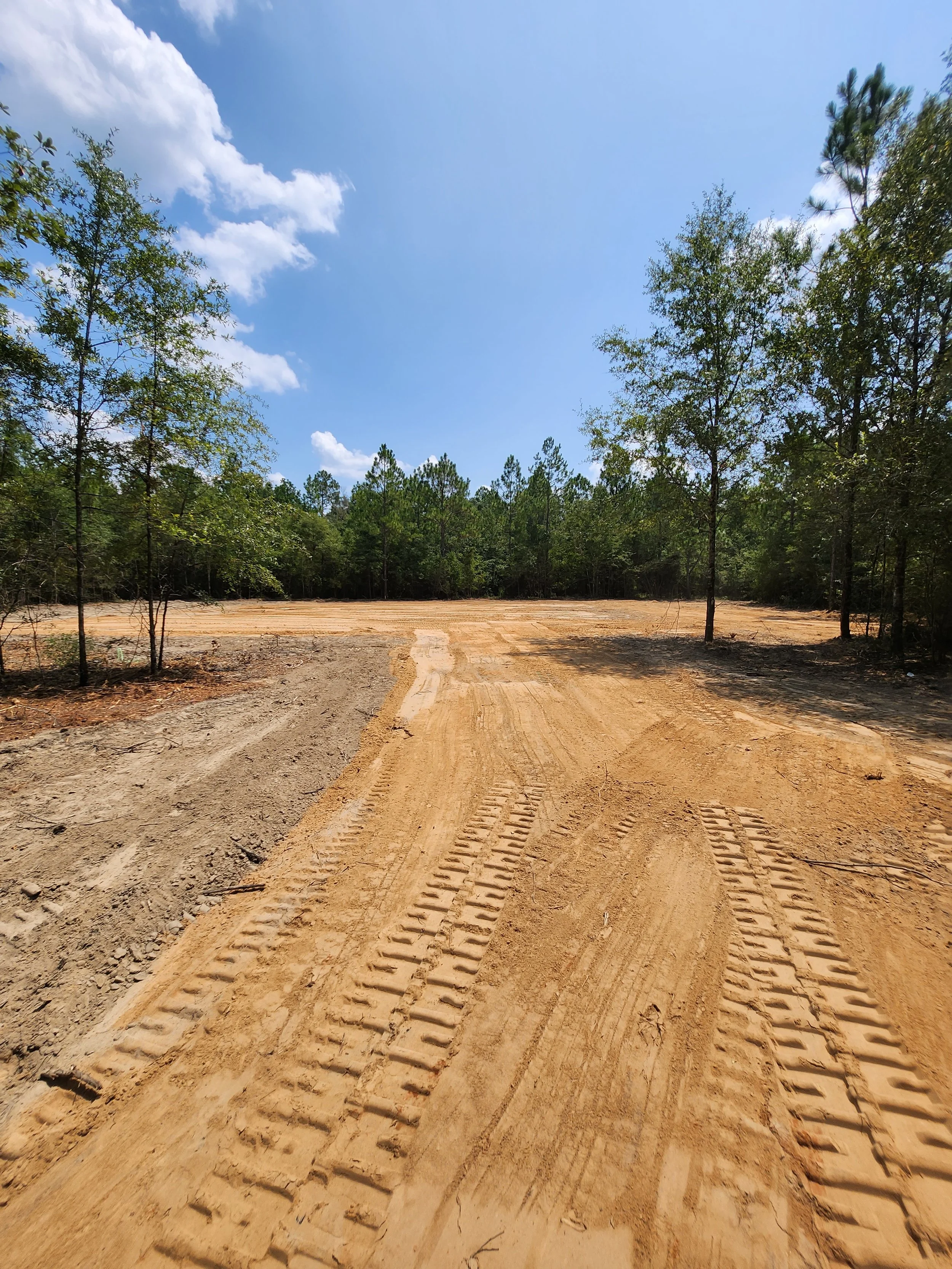 A dirt road with tire tracks, surrounded by trees under a blue sky with clouds.