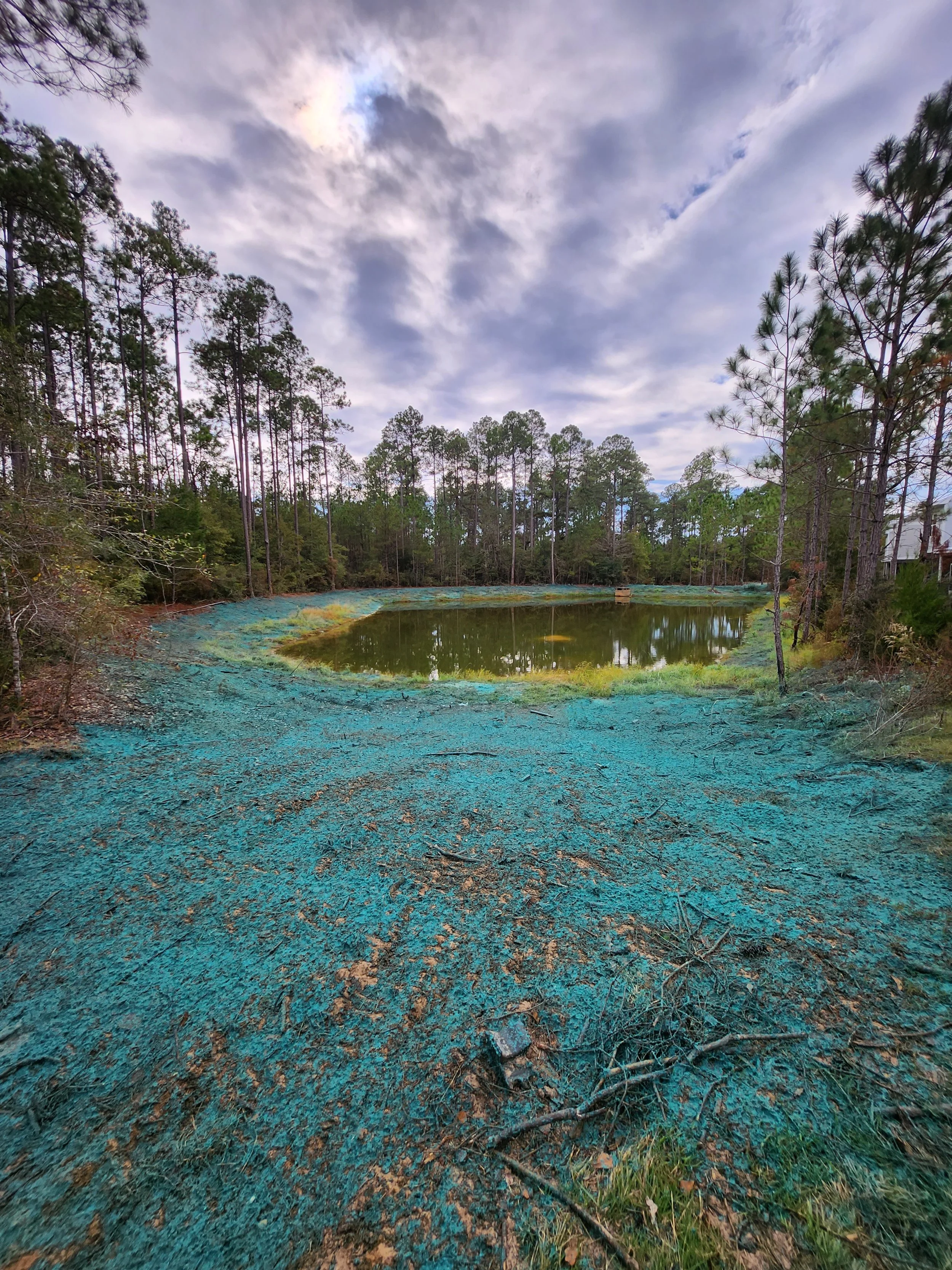 A small pond surrounded by trees under a cloudy sky, with blue mud-like substance on the ground in the foreground.
