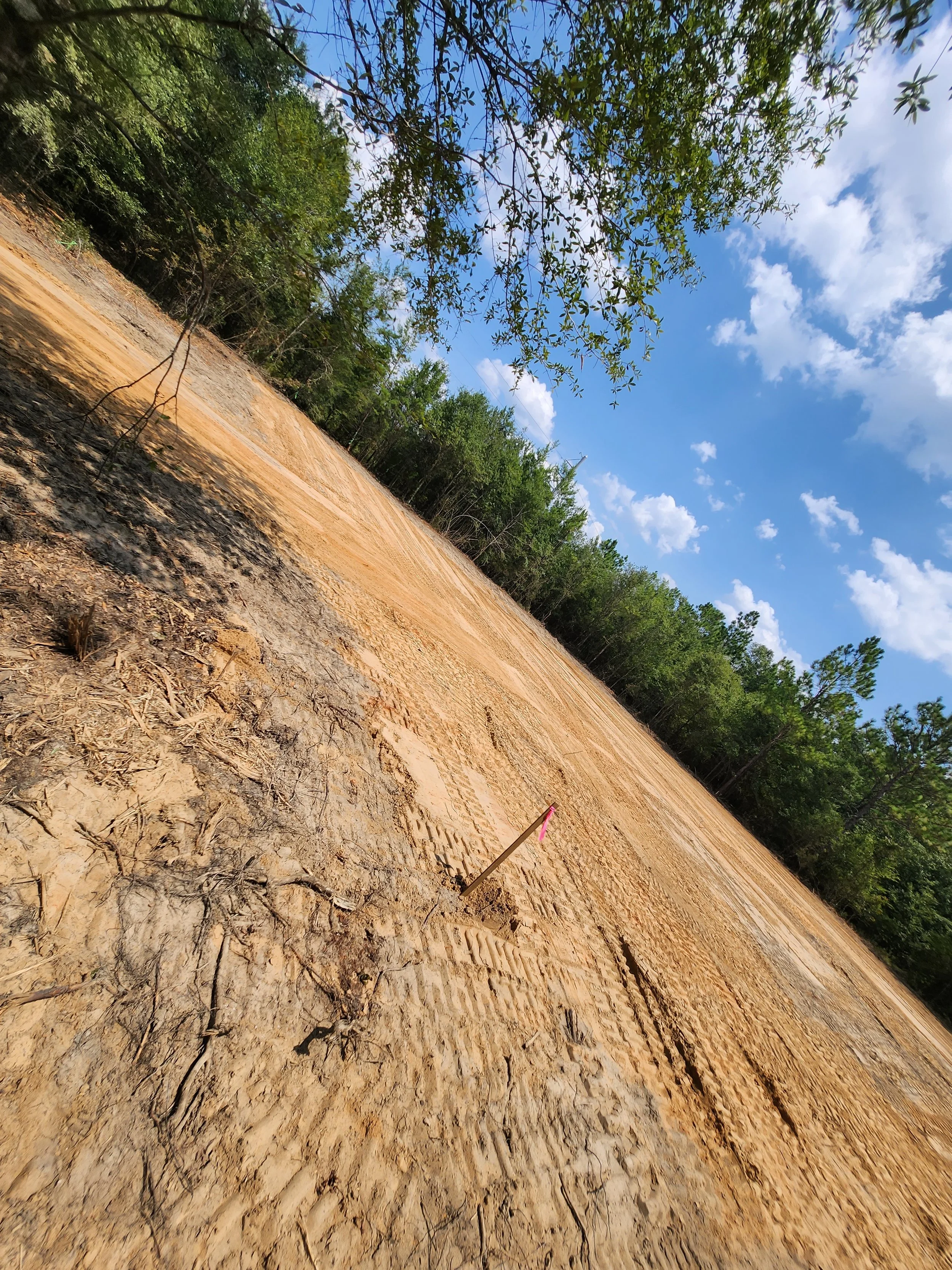 A barren, dry, and cracked area of land with construction markers, set against a backdrop of trees and a partly cloudy sky.