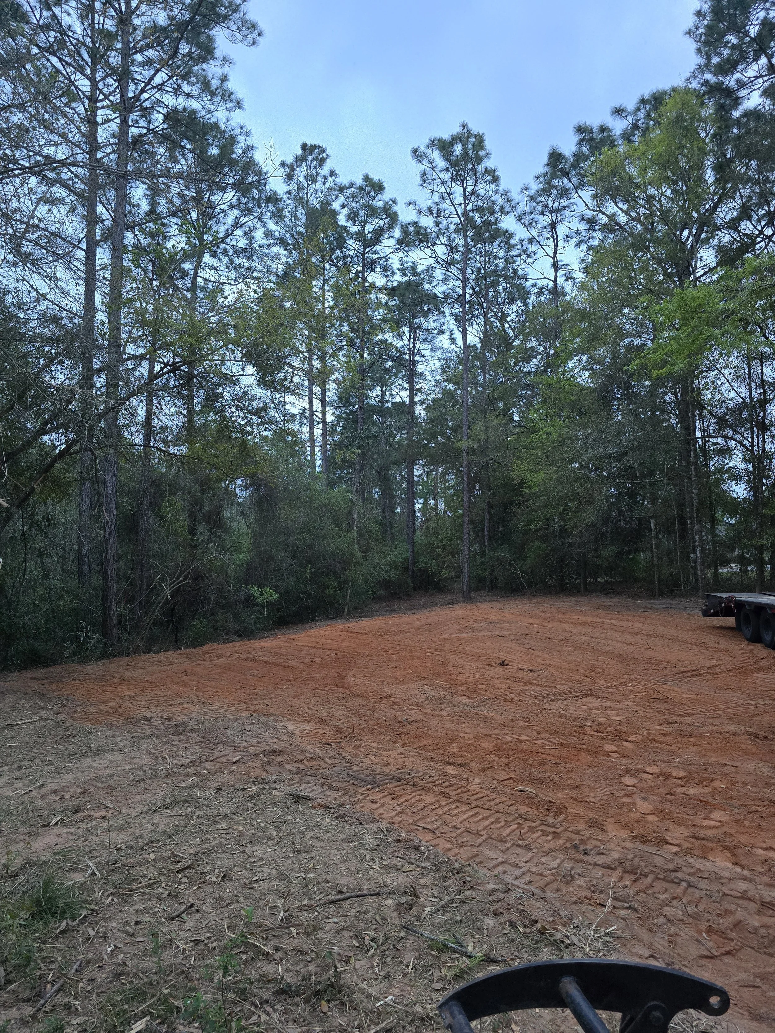 An open cleared area with red dirt ground surrounded by tall trees and a blue sky.