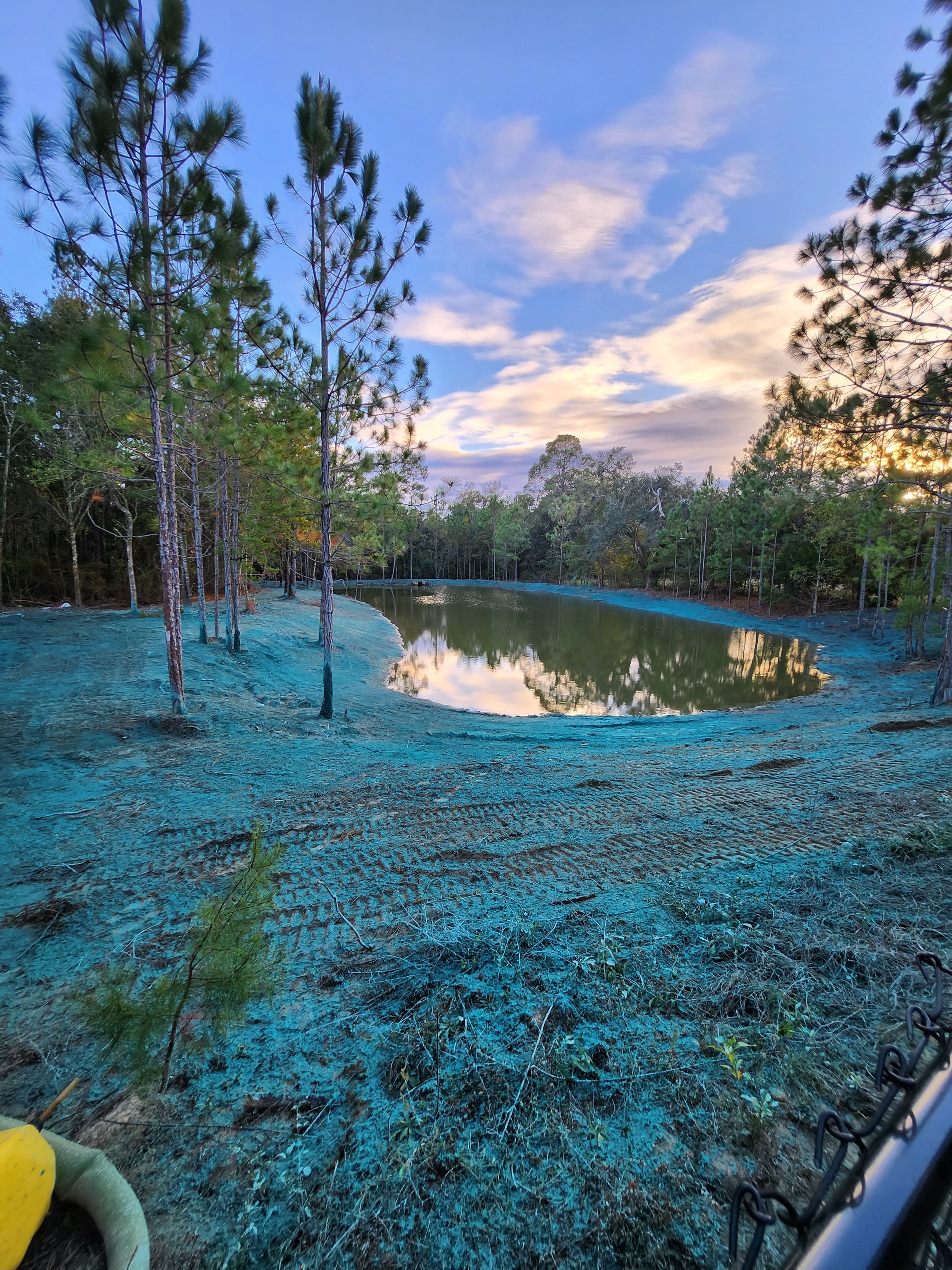 A peaceful pond surrounded by trees under a partly cloudy evening sky.