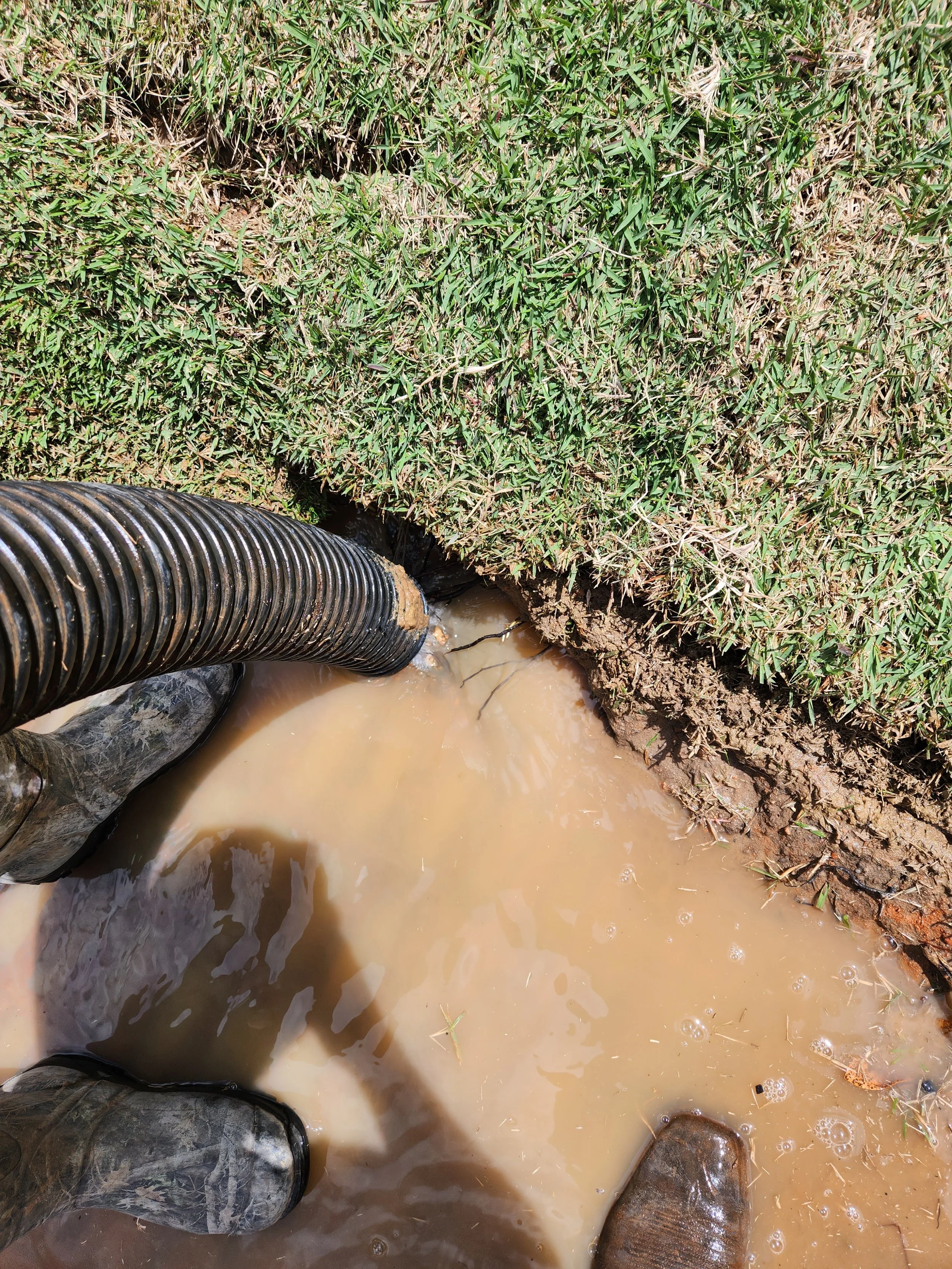Person wearing muddy boots standing in a muddy puddle near grass, handling a black corrugated drainage pipe.