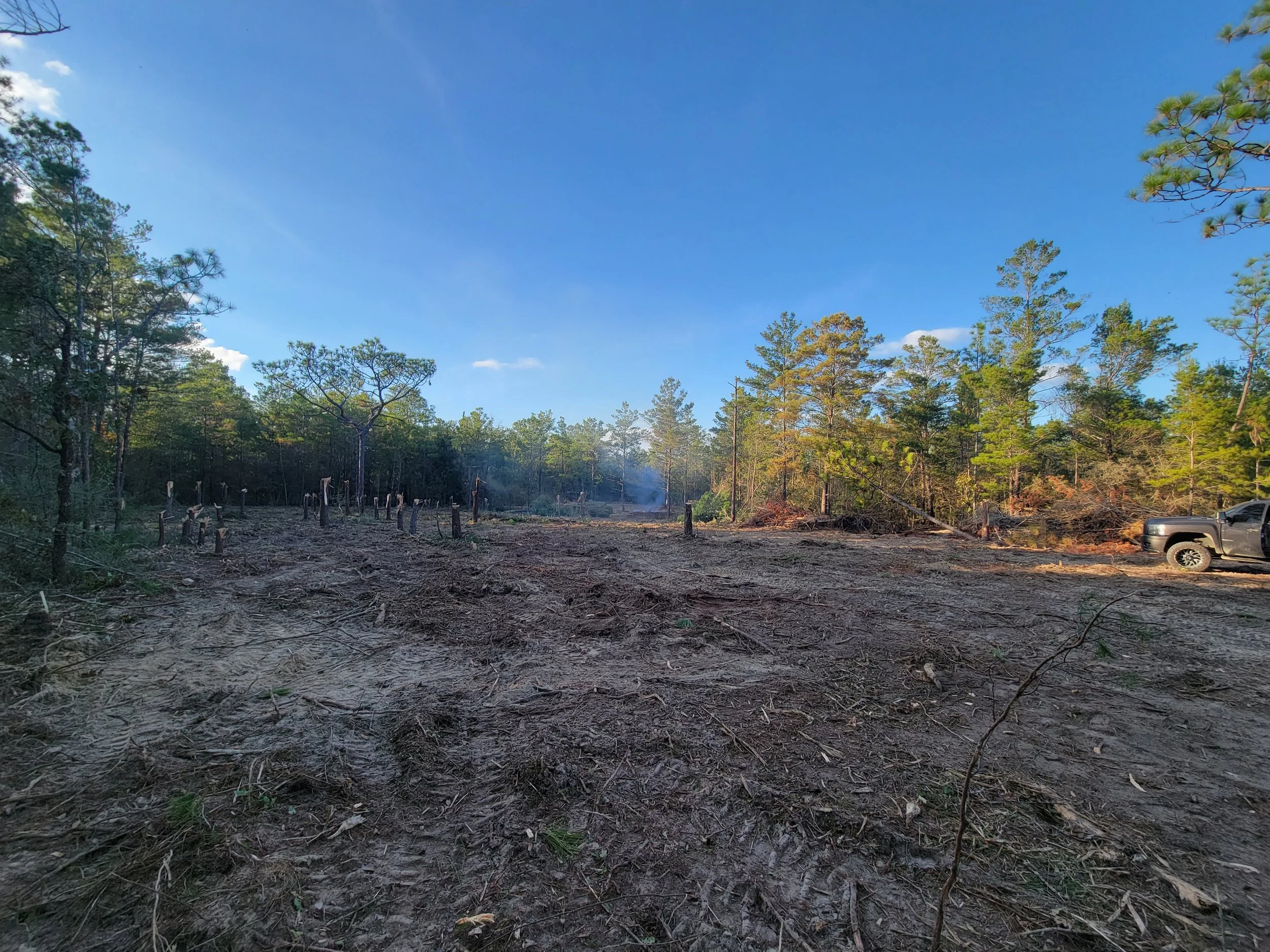 A cleared dirt area with stumps and debris, surrounded by trees under a blue sky, with a truck parked on the right side.