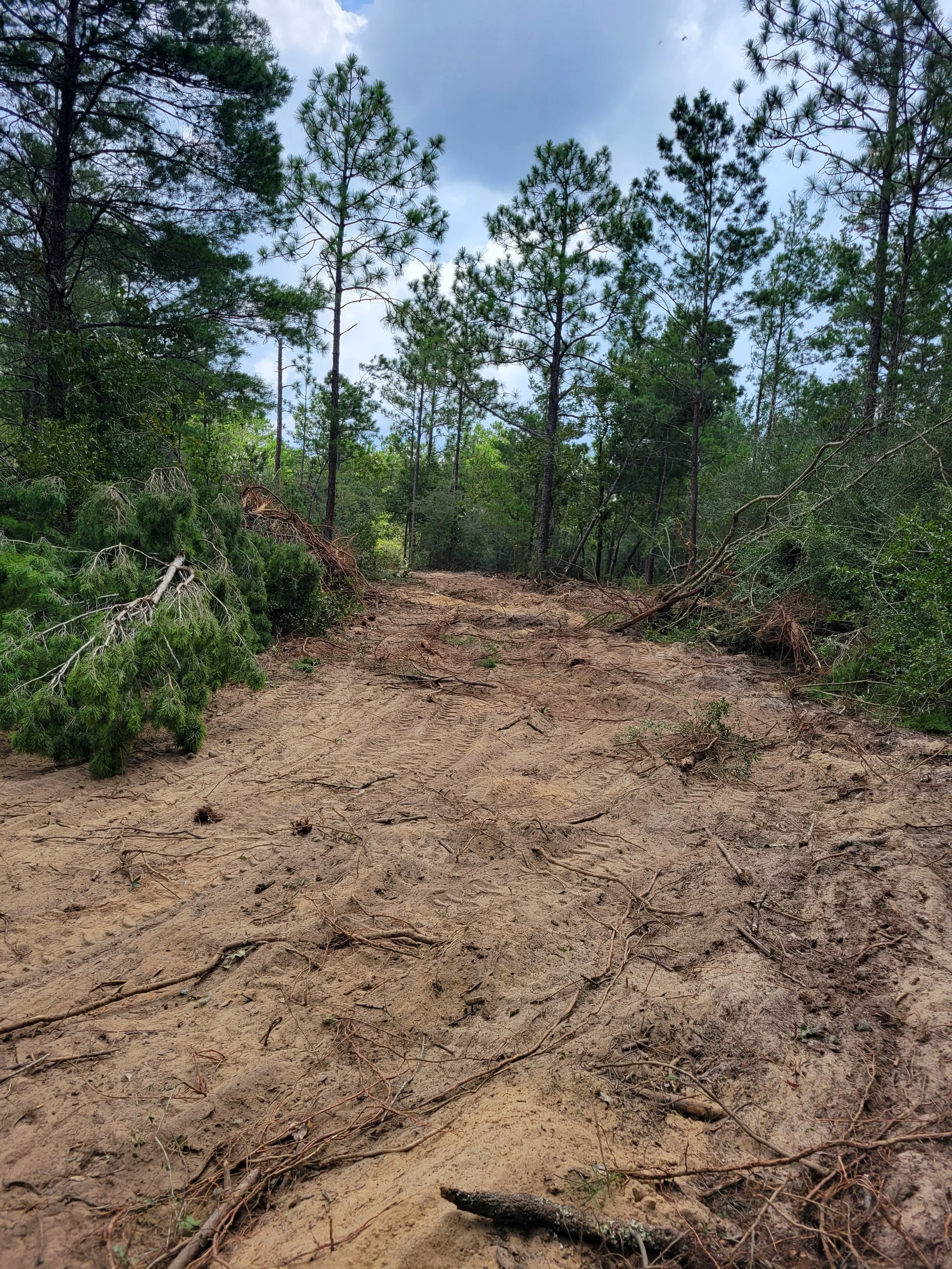 A dirt trail surrounded by green trees and bushes under a partly cloudy sky.