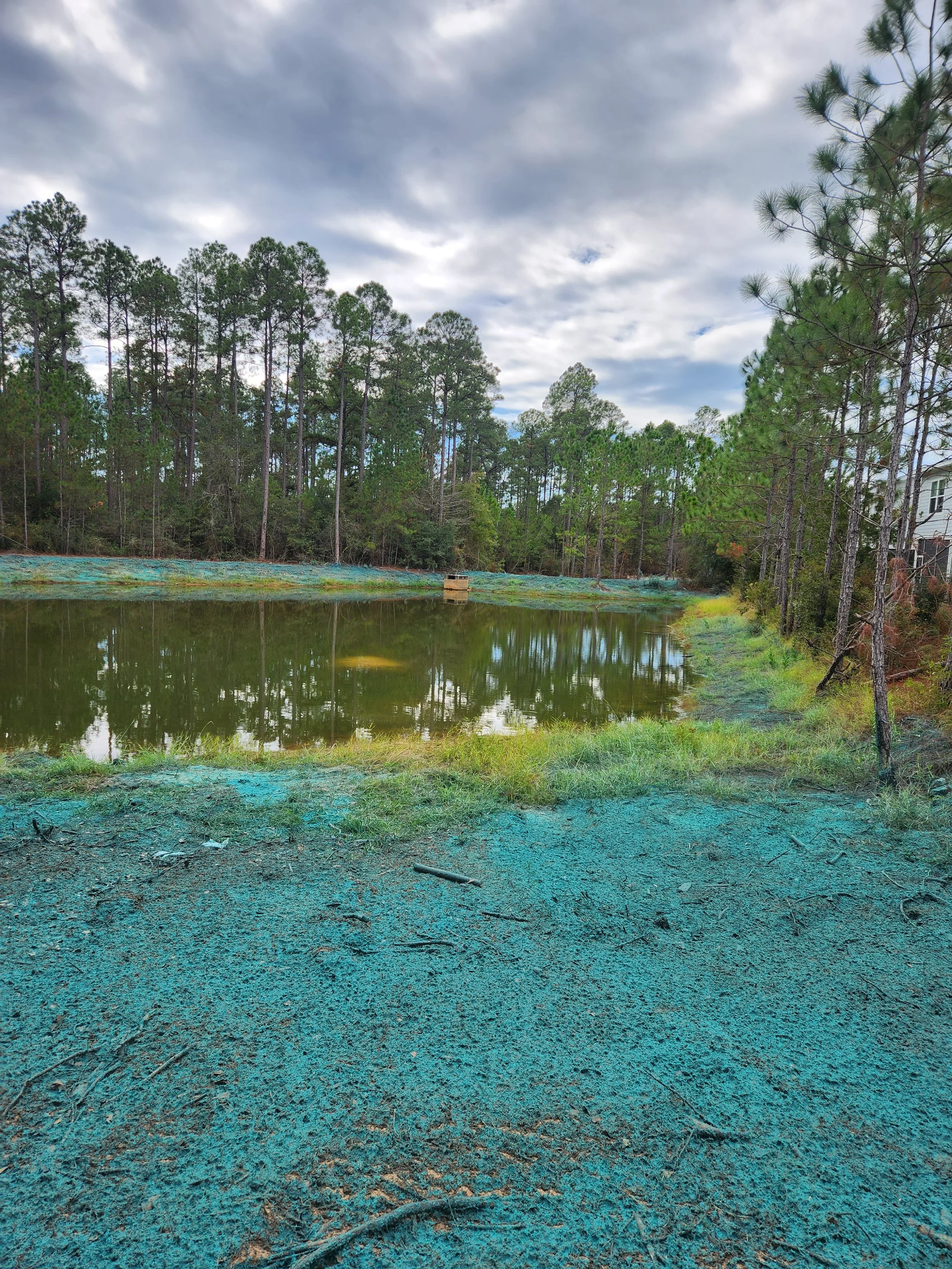 A pond surrounded by trees and grassy areas, with a partly cloudy sky overhead.