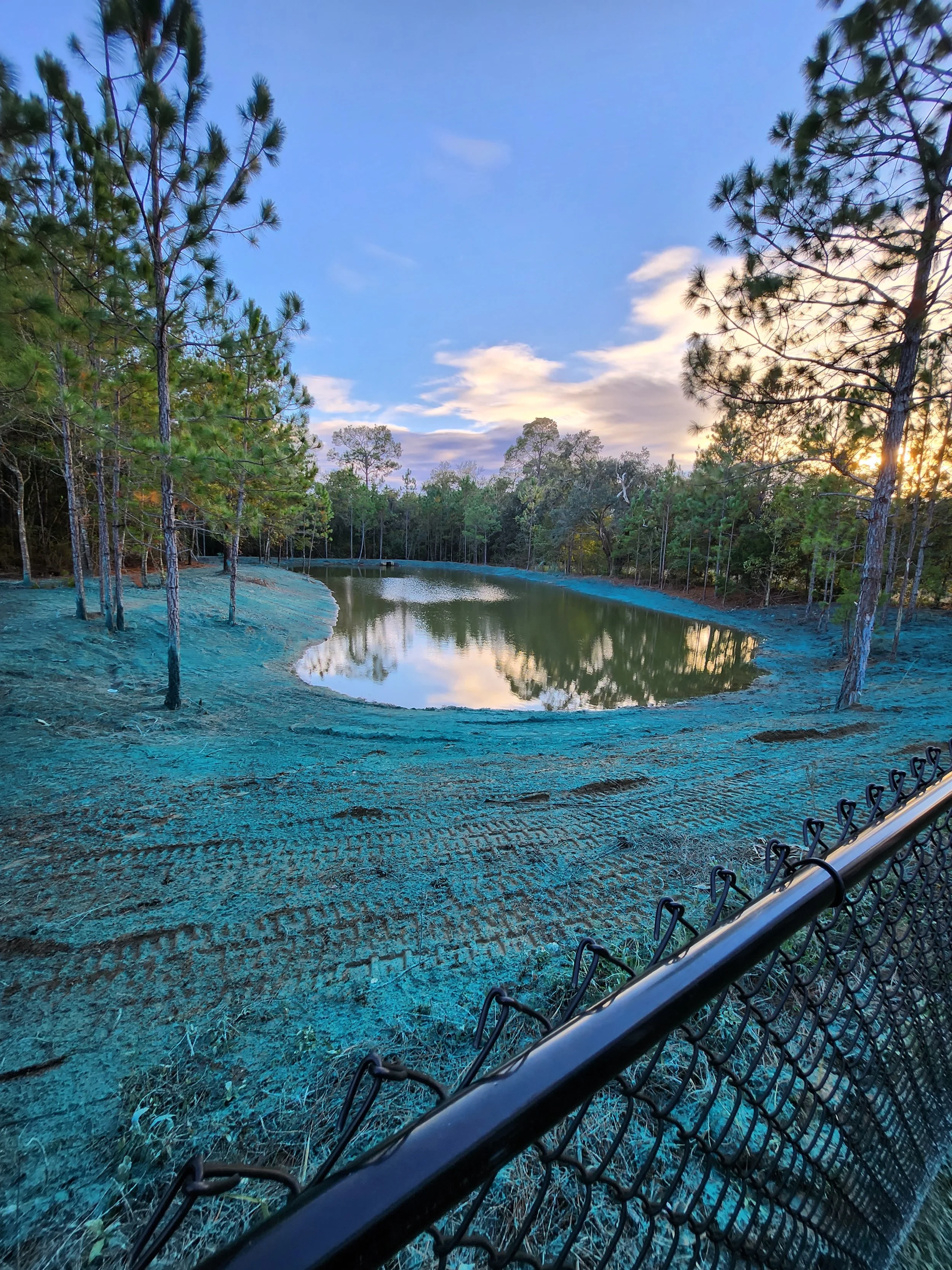 A small pond surrounded by trees with a chain-link fence in the foreground, and a blue sky with clouds during sunset.