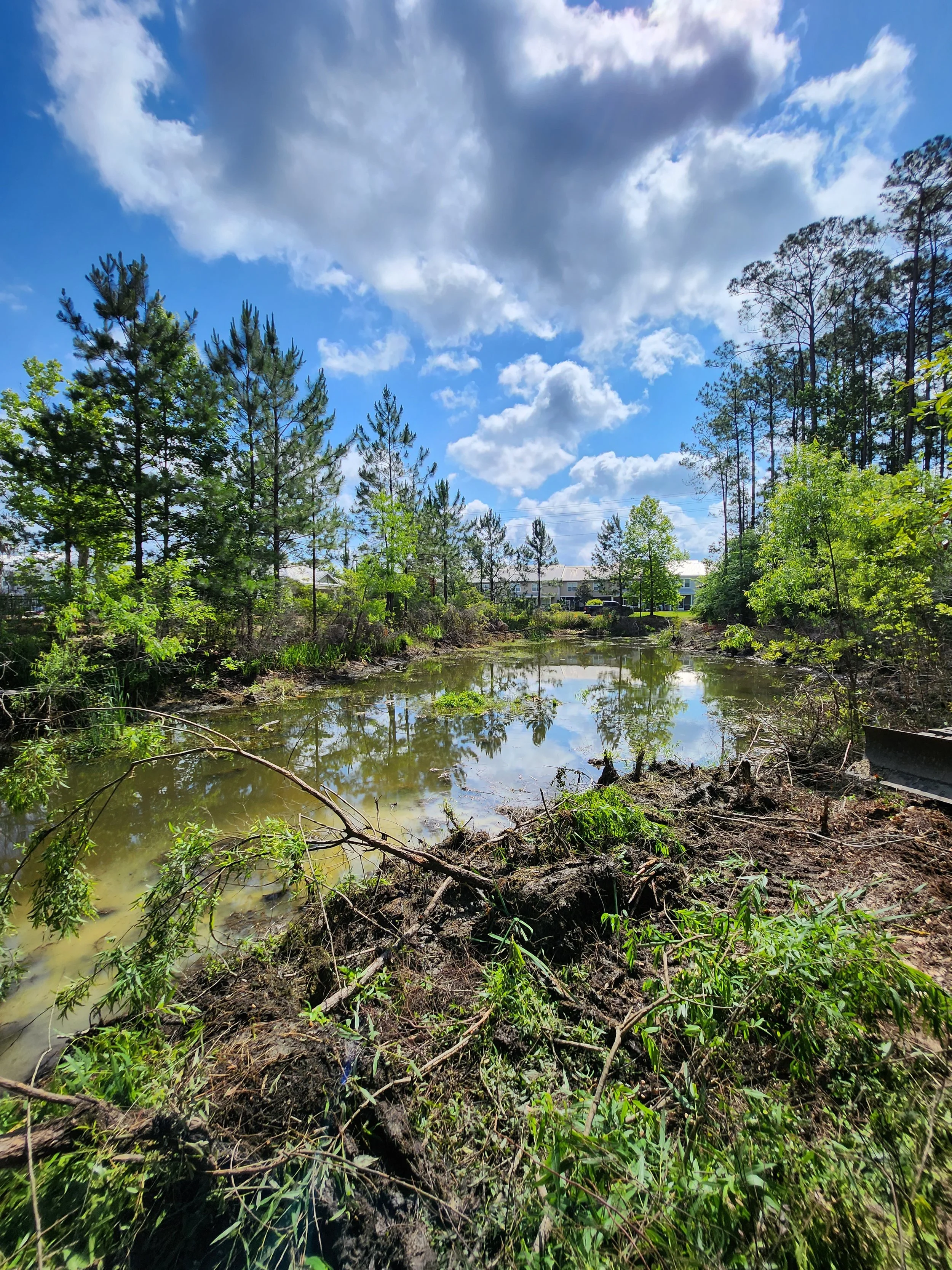 A small pond surrounded by trees and vegetation in a suburban area under a partly cloudy sky.