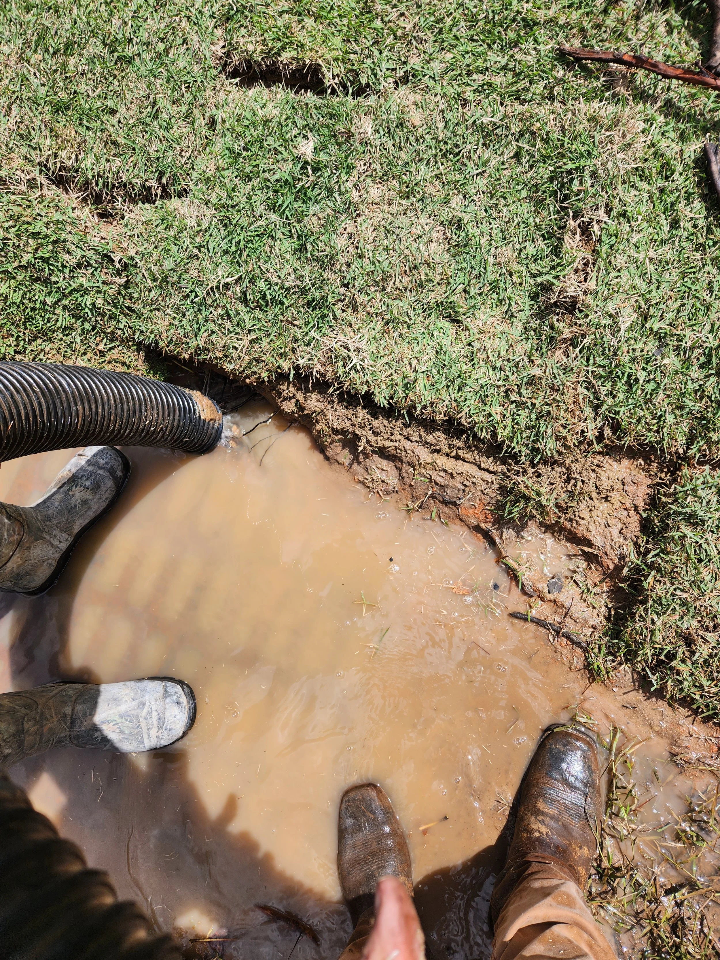 Feet of two people standing in muddy water near grassy bank, with one person pointing at the mud.