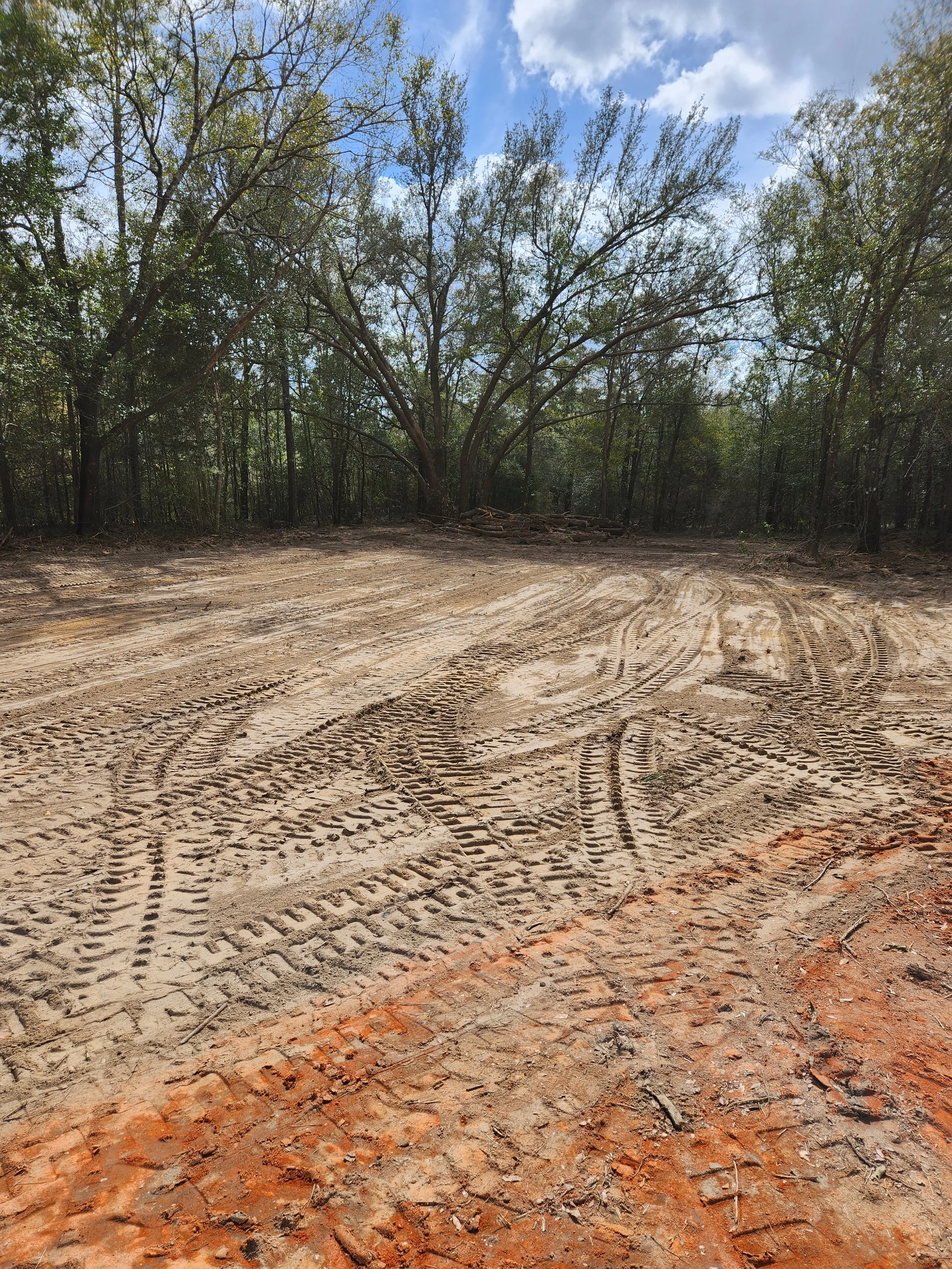 A dirt road with tire tracks, surrounded by trees and a blue sky with scattered clouds.