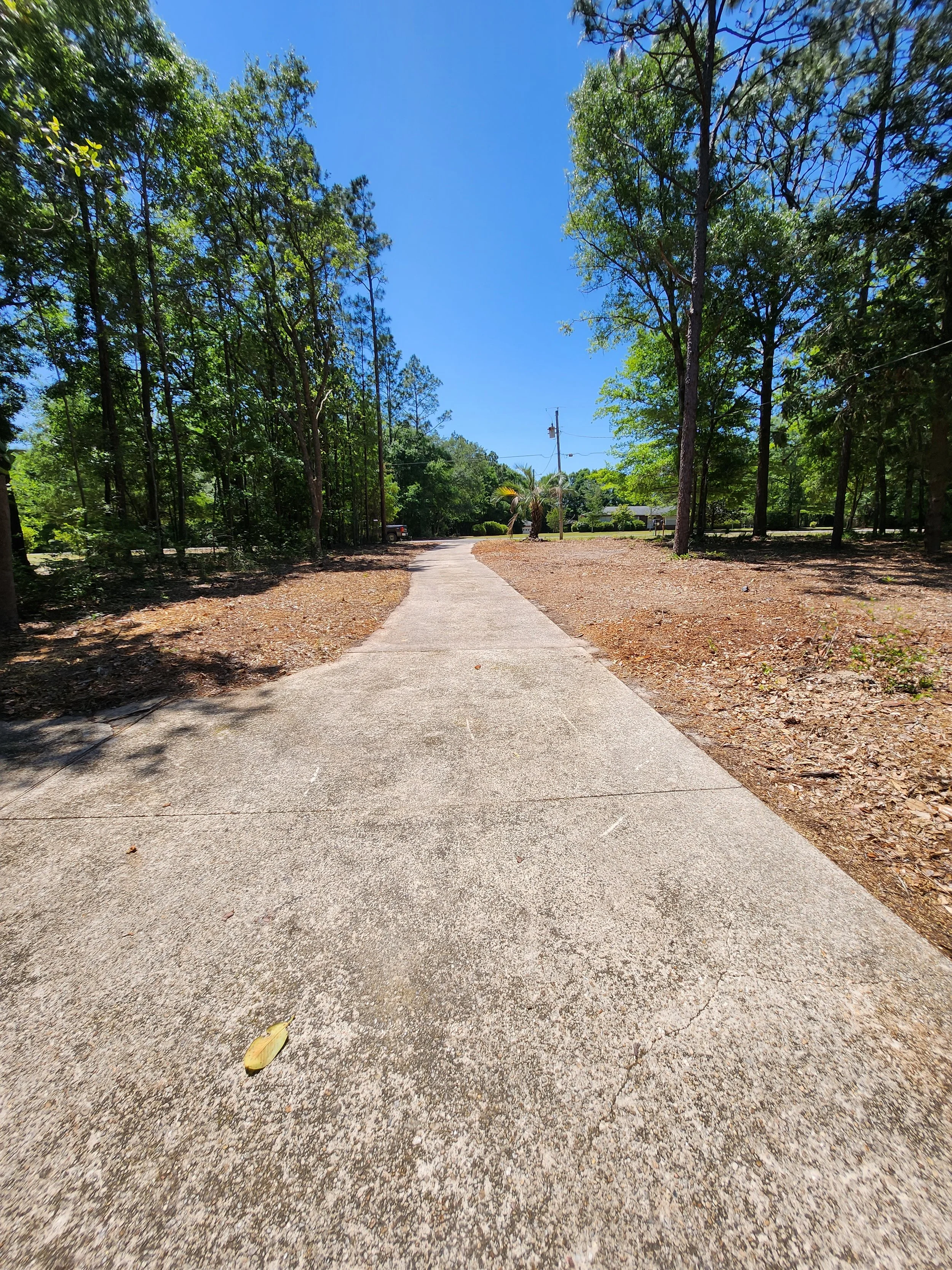 Concrete sidewalk leading into a wooded area with trees on both sides and clear blue sky above.