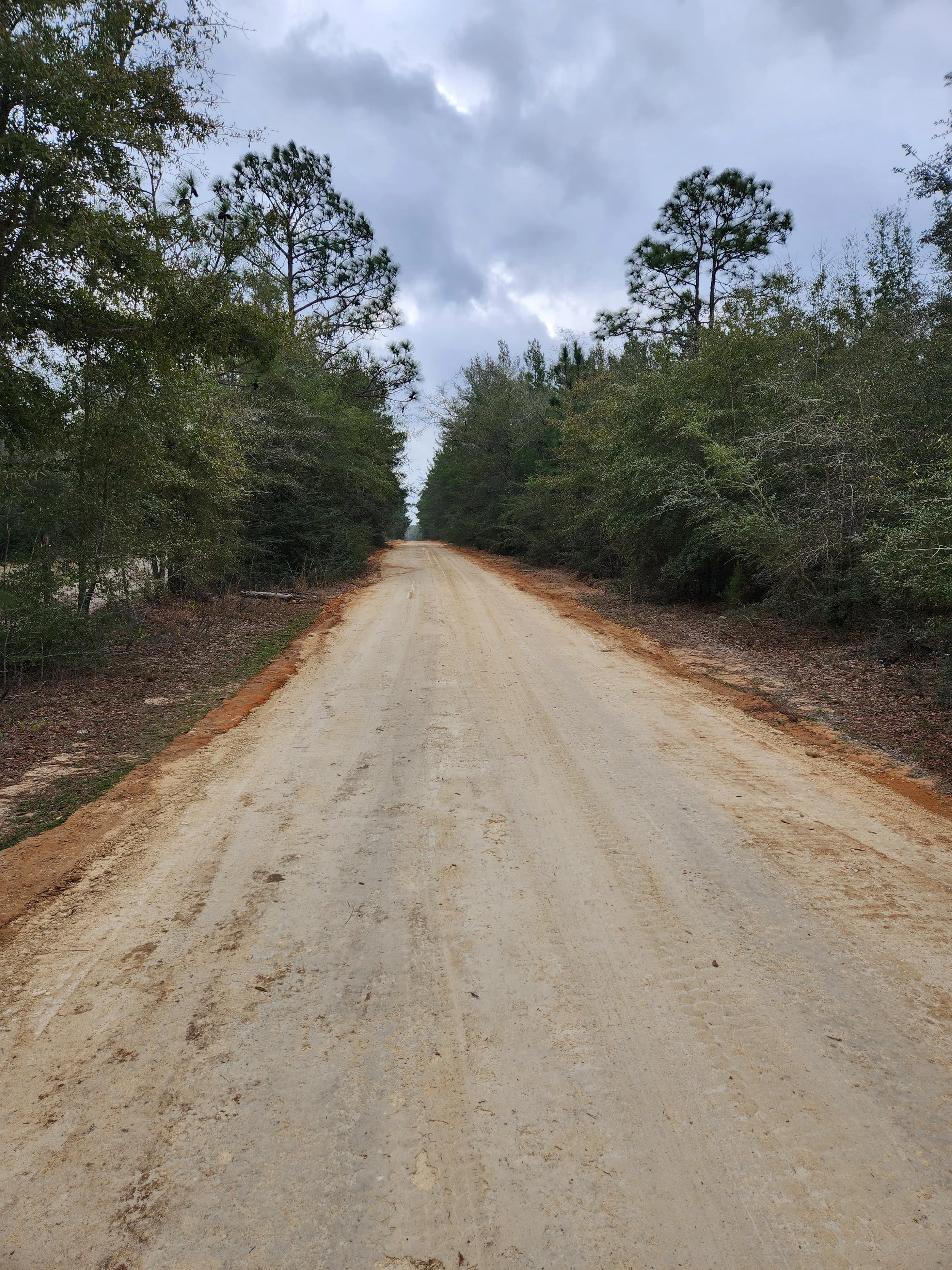 A dirt road stretching into the distance, flanked by trees on both sides, with a cloudy sky overhead.