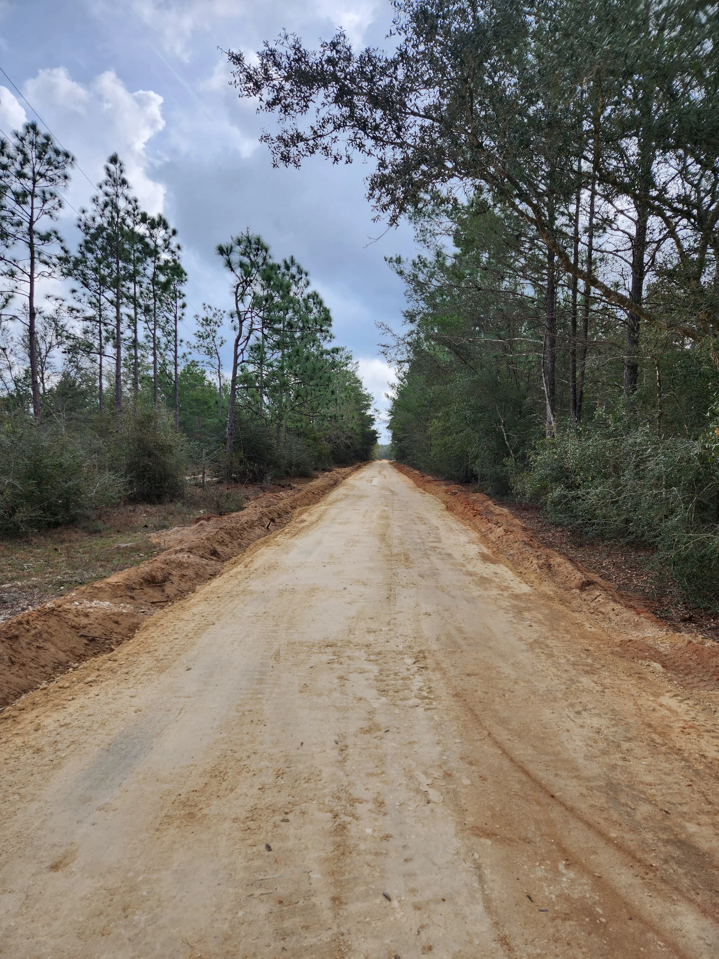 A dirt road stretches into the distance, flanked by green trees and shrubs on both sides, with cloudy sky overhead.