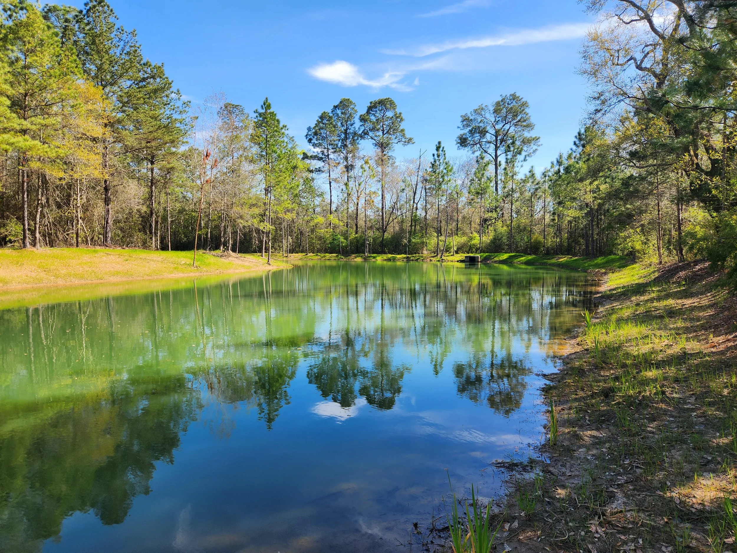 A peaceful river scene surrounded by tall green trees, reflecting a blue sky with some clouds.