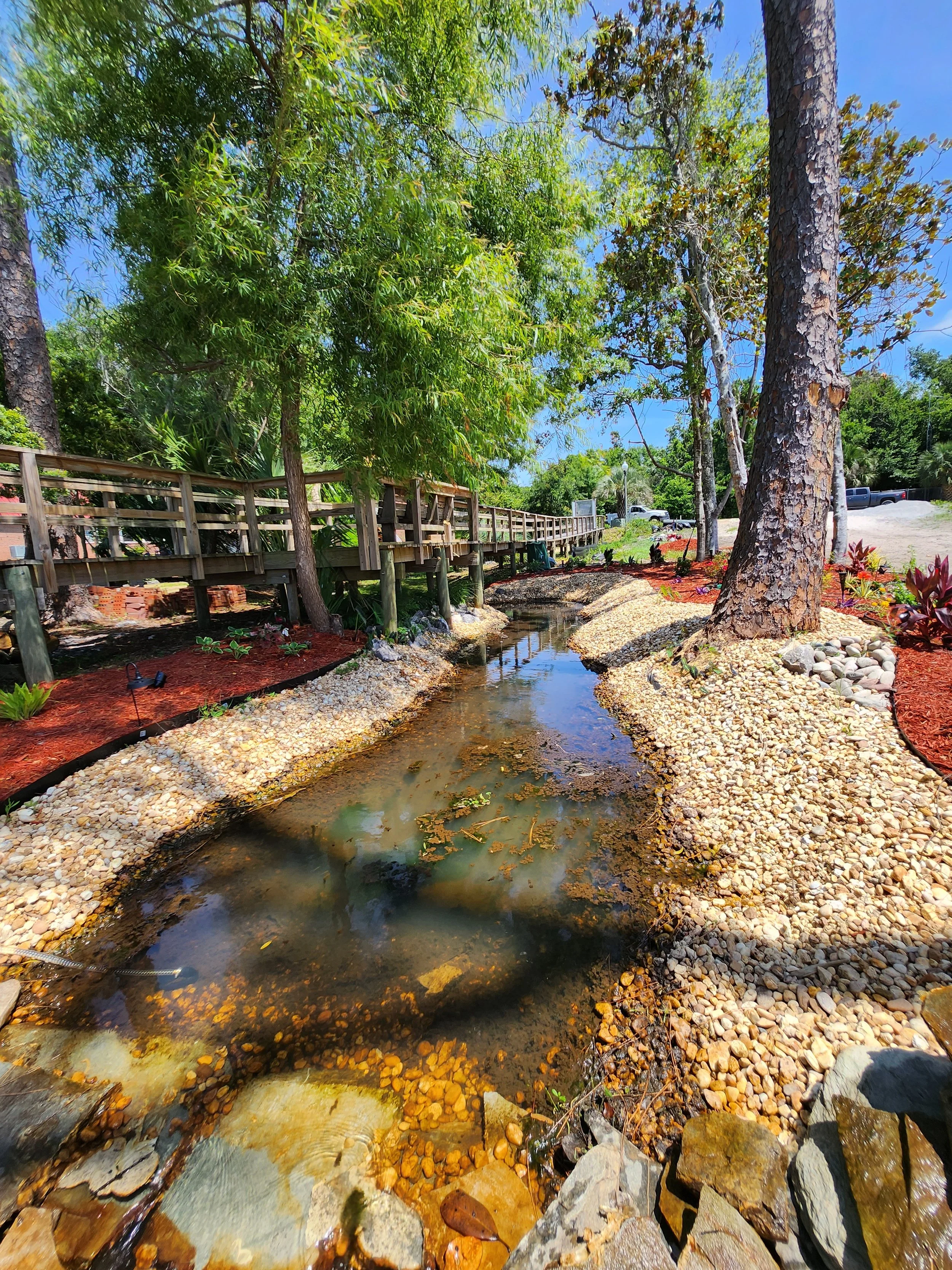 A small pond with clear water, surrounded by multicolored rocks and red mulch, with trees and a wooden bridge overhead, and a parking area in the background.