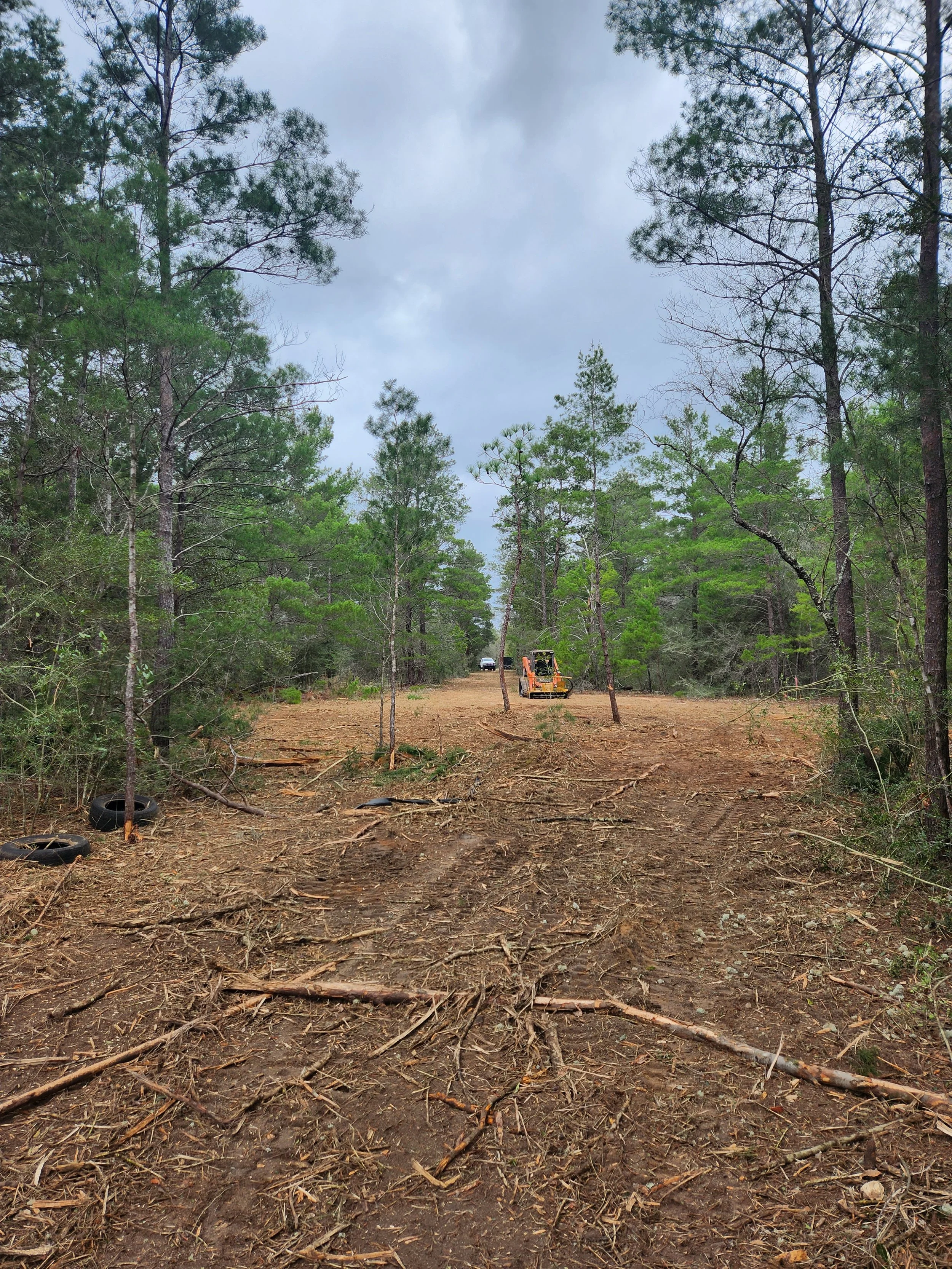 A dirt road through a forest with trees on both sides, tire tracks in the dirt, and construction equipment in the distance under a cloudy sky.