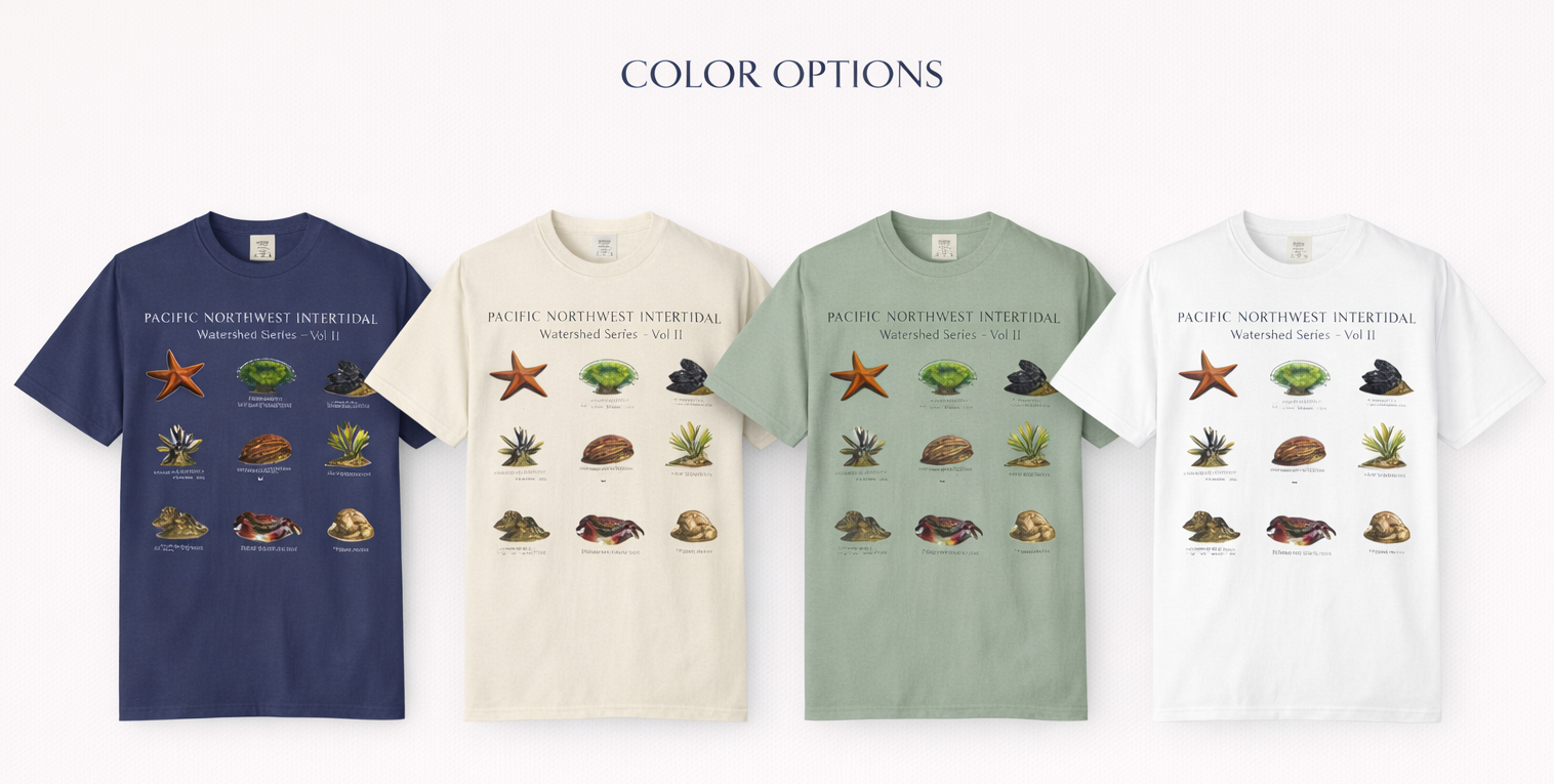 ChatGPT Image Feb 27, 2026, 01_43_01 AM.png