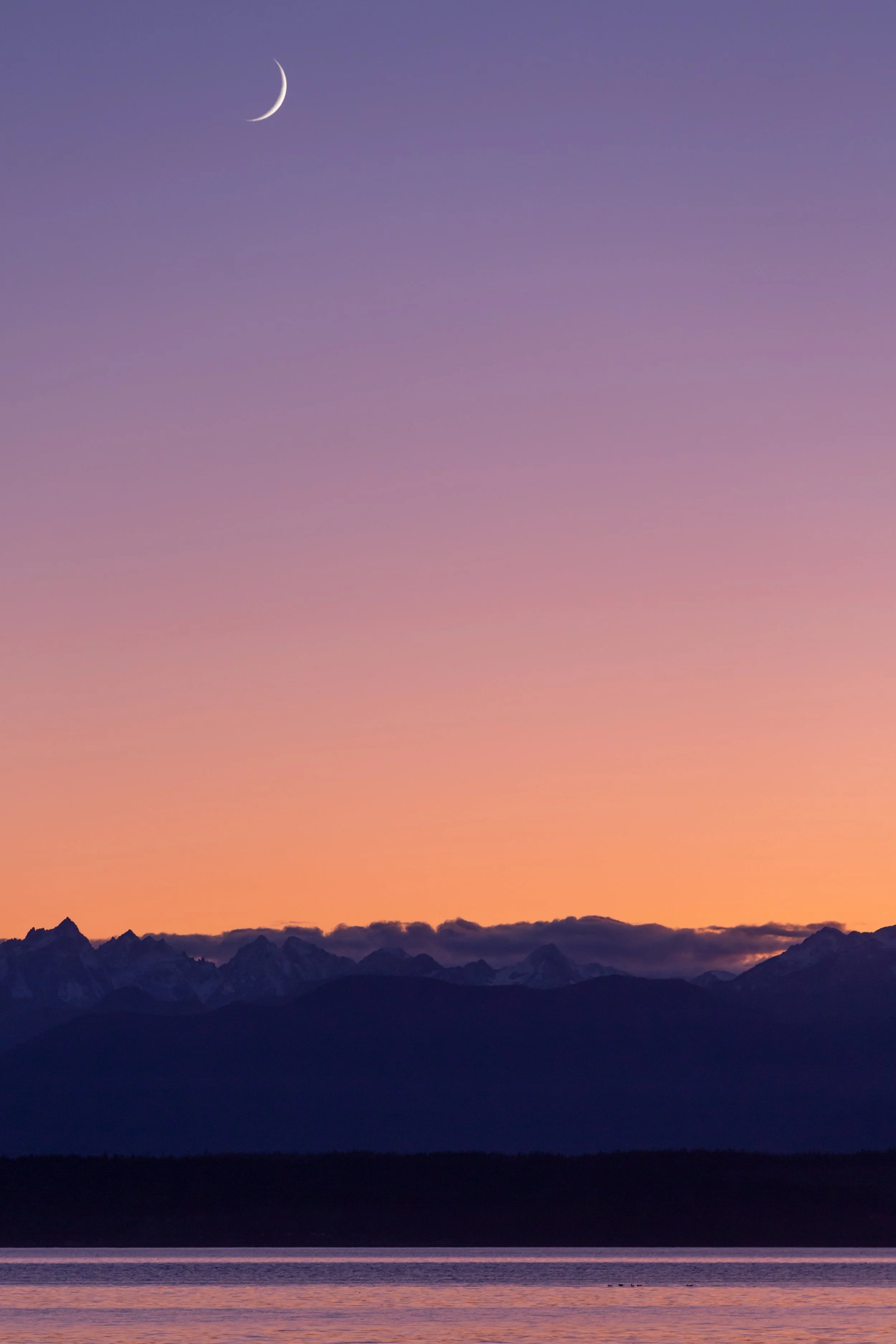 Whidbey Island Beach Cabin_AP_001.jpg