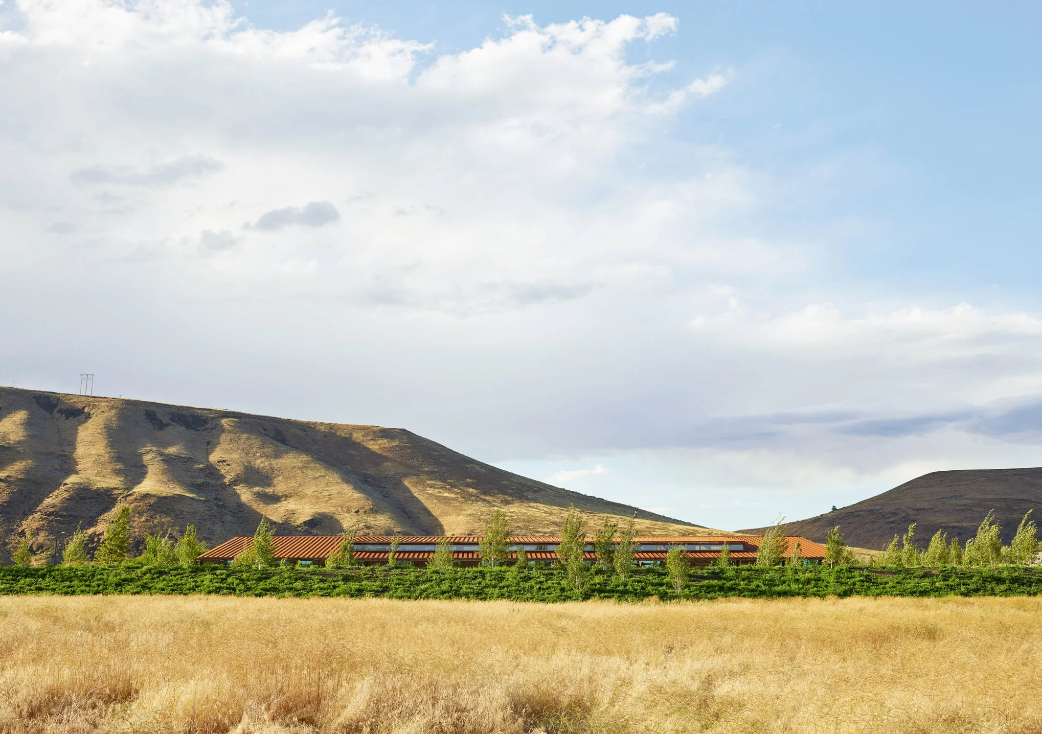 Washington Fruit_KS_001_low res.jpg