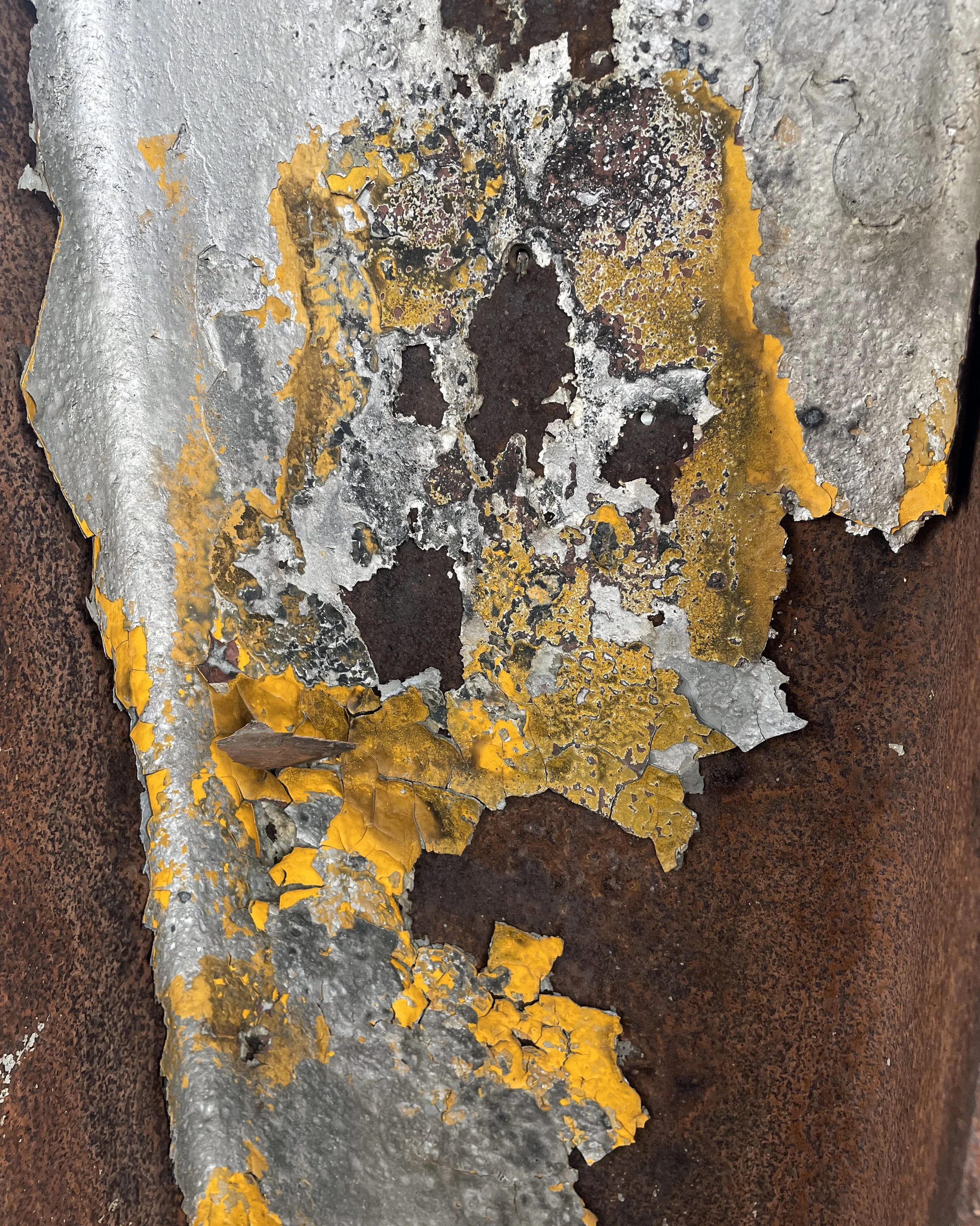 Port of Bellingham_GBA_013_web.JPG