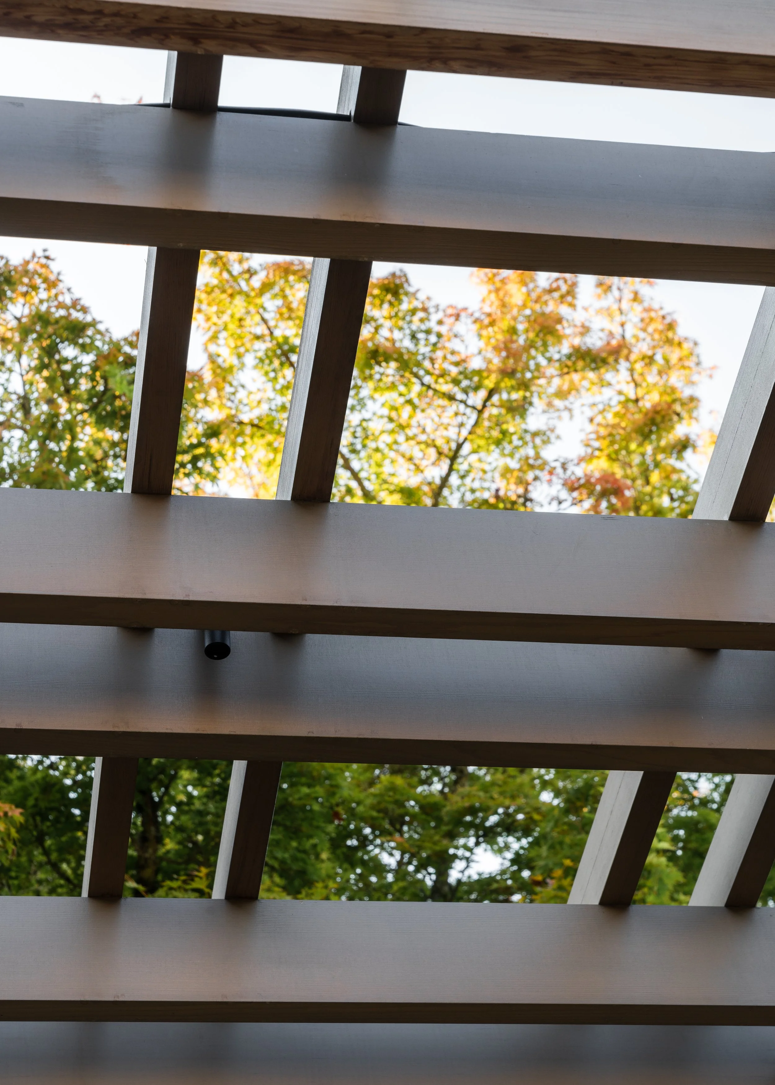 Backyard Retreat_RE_011.jpg