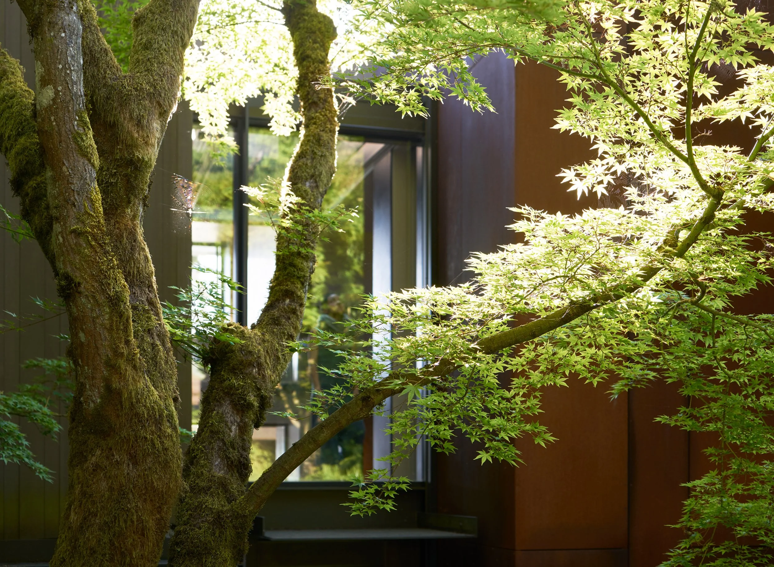 Mercer Island Residence_KS_038_low res.jpg