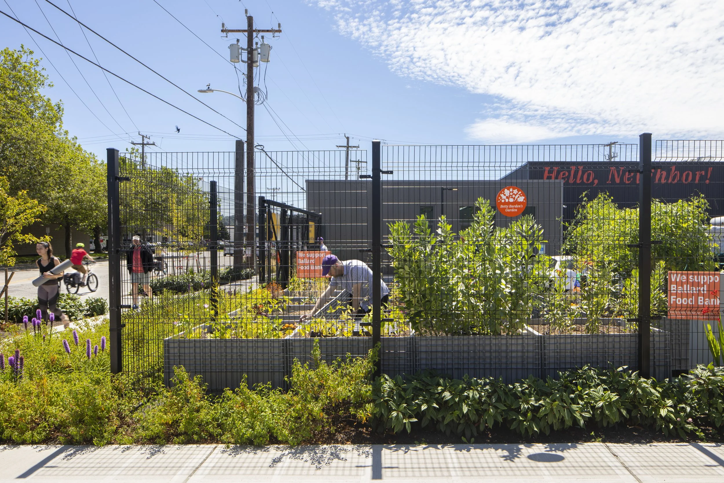 Ballard Food Bank_LS_042.jpg