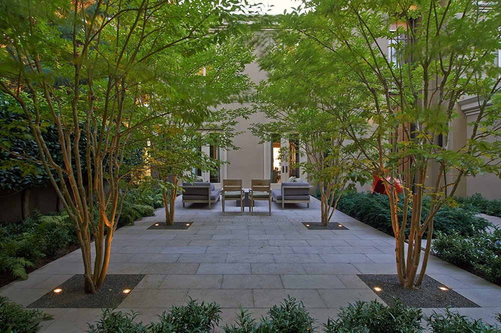 Olympic View_10.jpeg