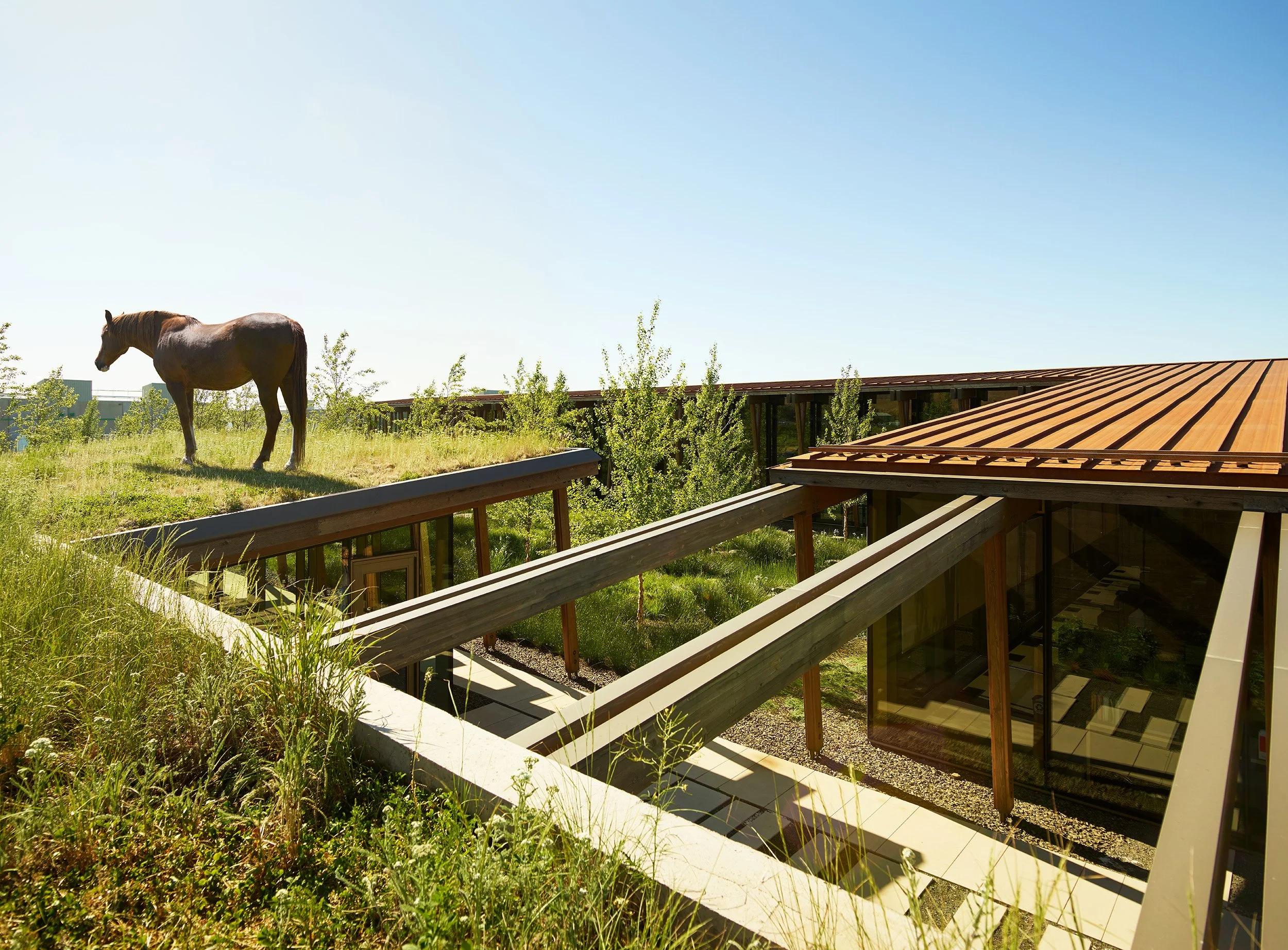 Washington Fruit Landscape_KS_001_low res.jpg
