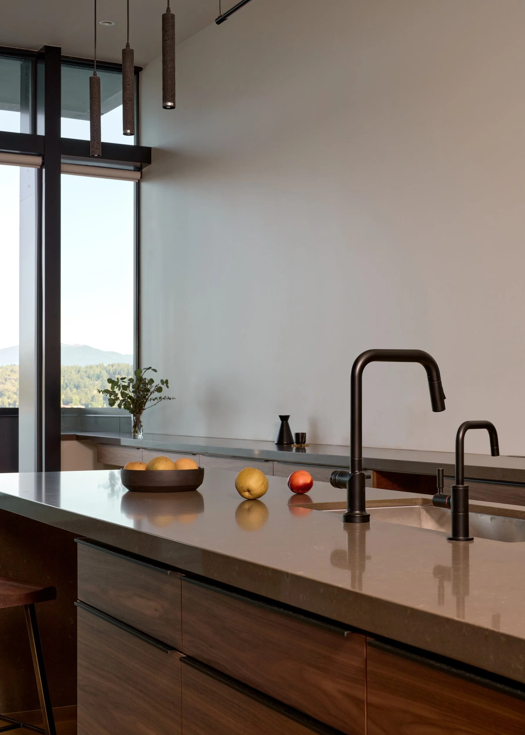 Shabalin Liborski Residence_RE_022_low res.jpg